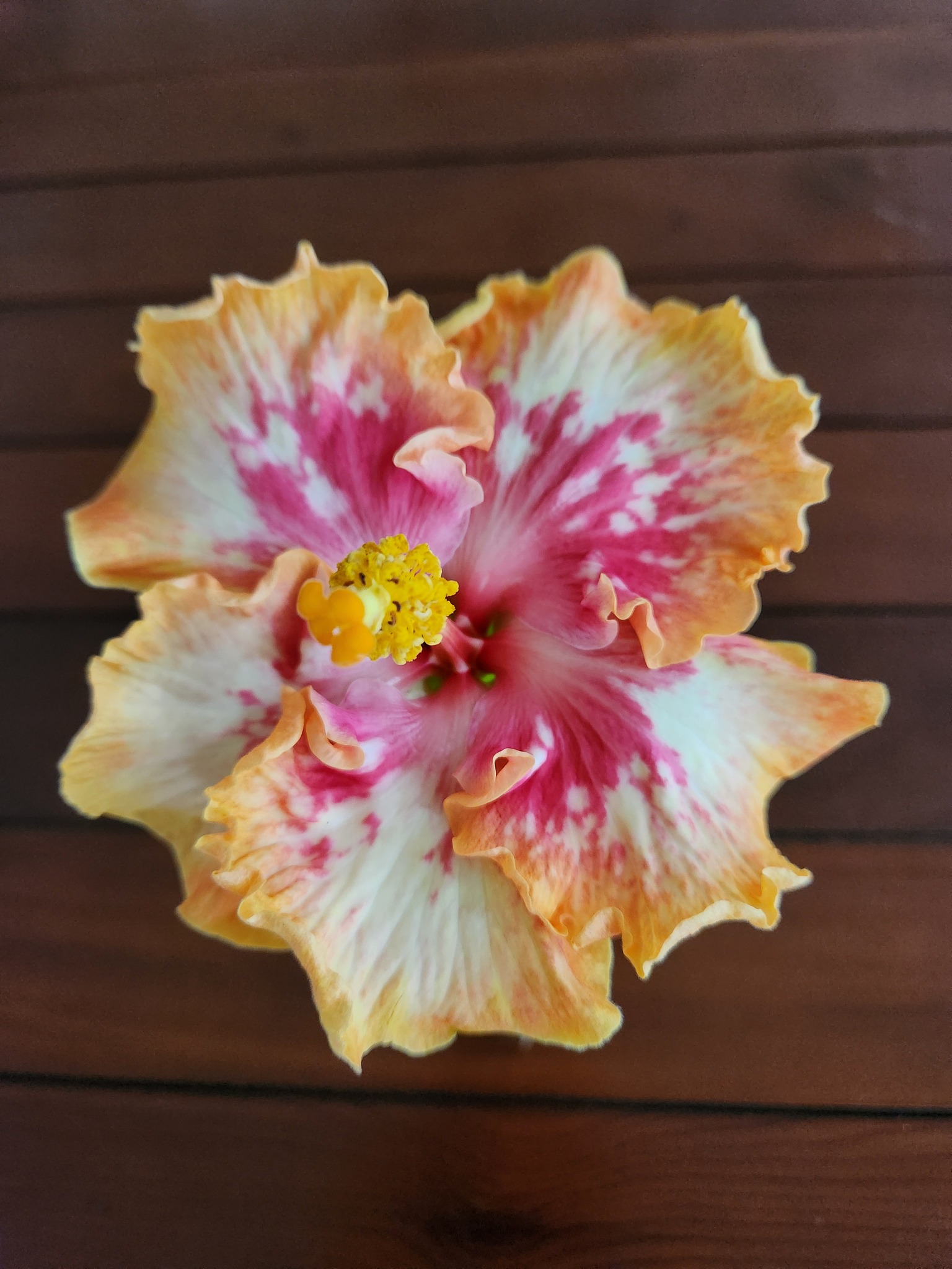 Details The Aloha Mahalo! Simply beautiful!