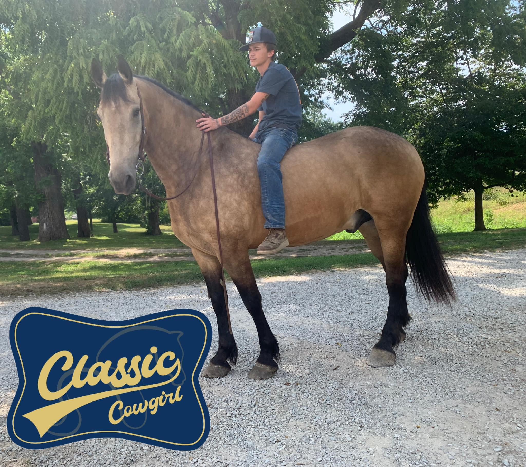 ホビー　クラシック Who's getting excited for the SD Heartland Futurity/Maturity next