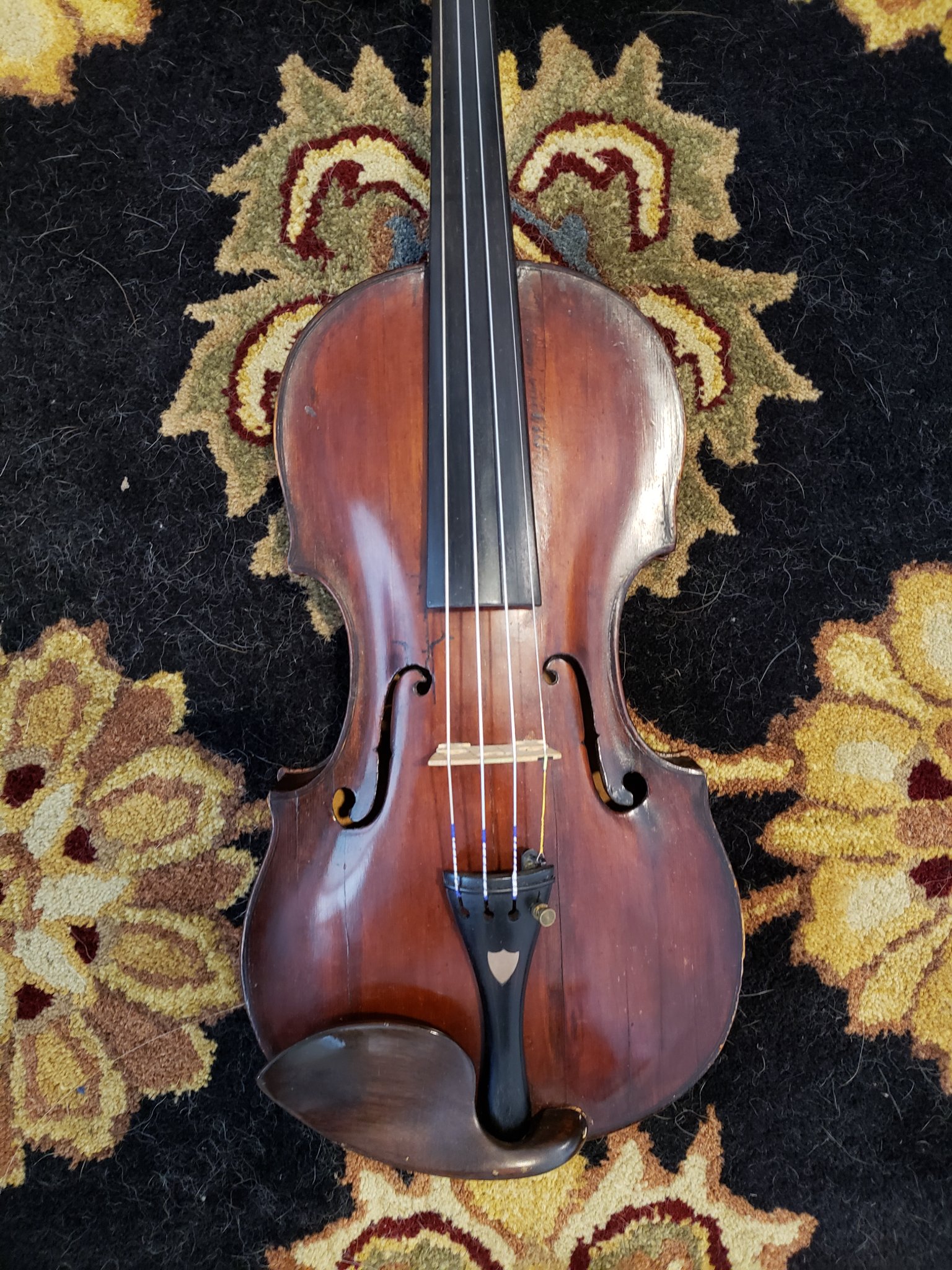 violins for sale | Excellent violin labeled 