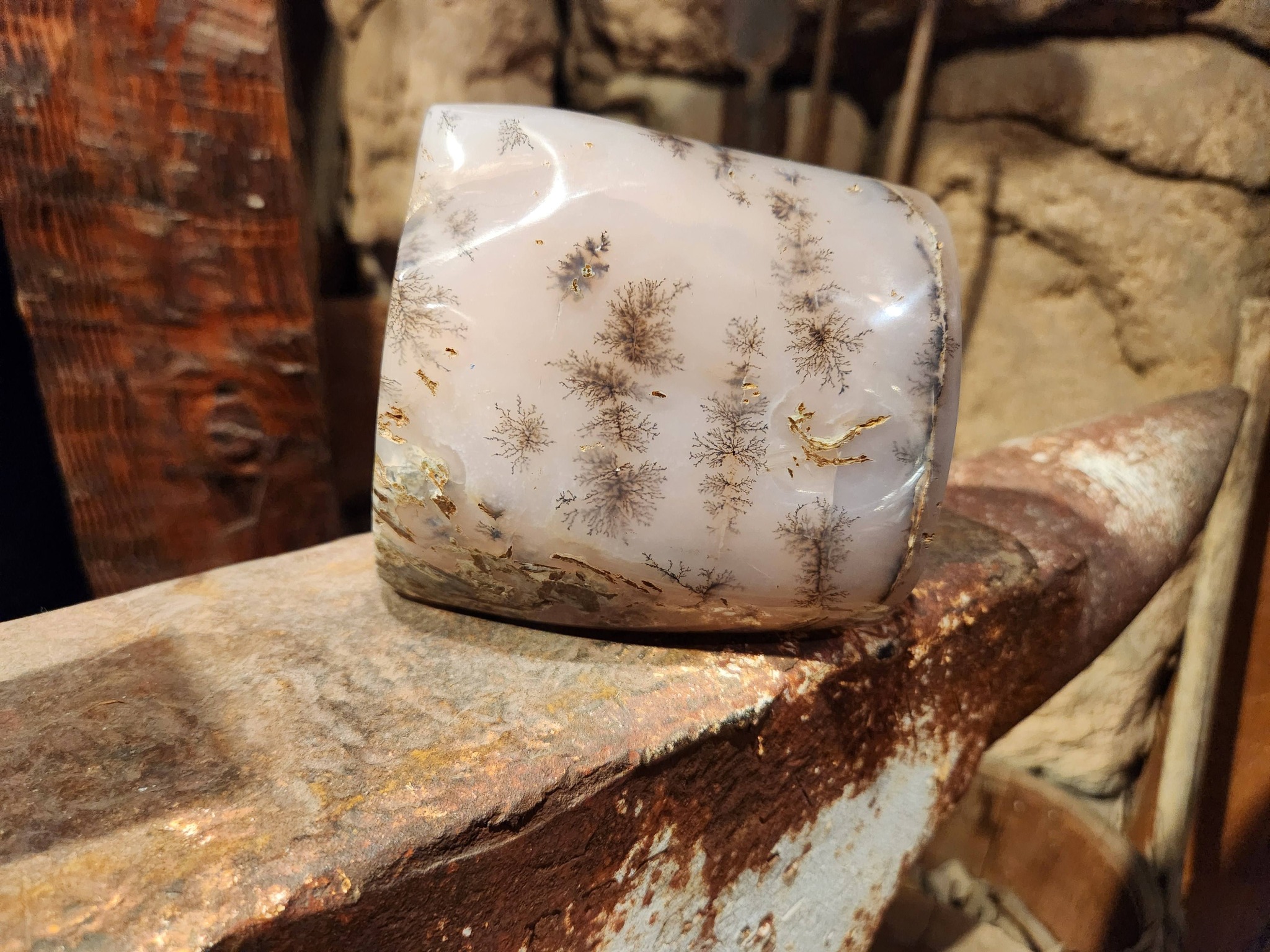 Dendritic pink limbcast on display