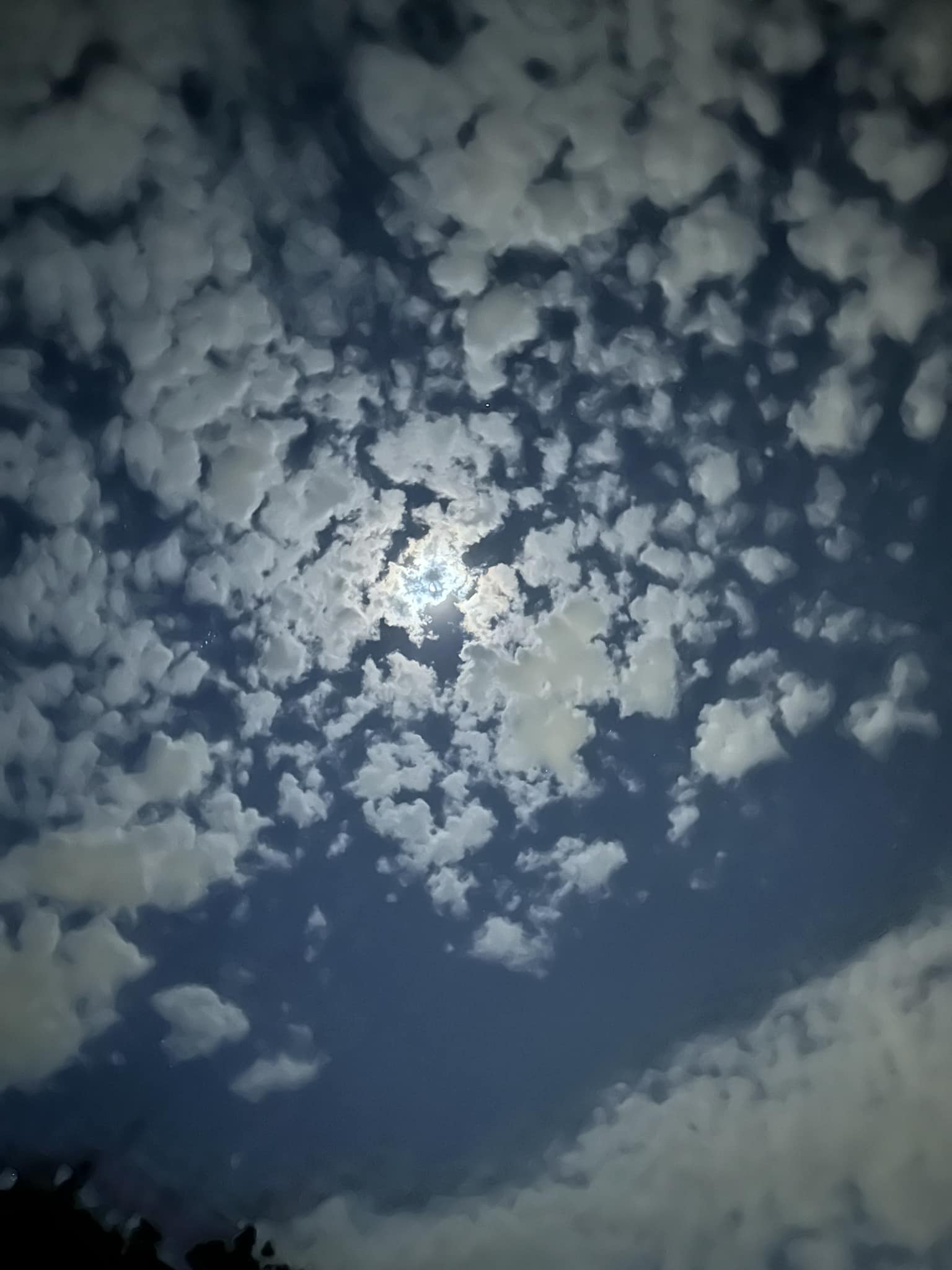 2019 The Night a Giant “Angel” Appeared to Hold the Moon Over
