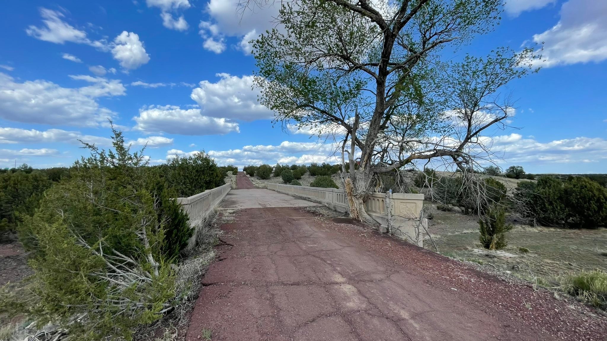Encountering French Route 66 enthusiasts on abandoned Arizona highway