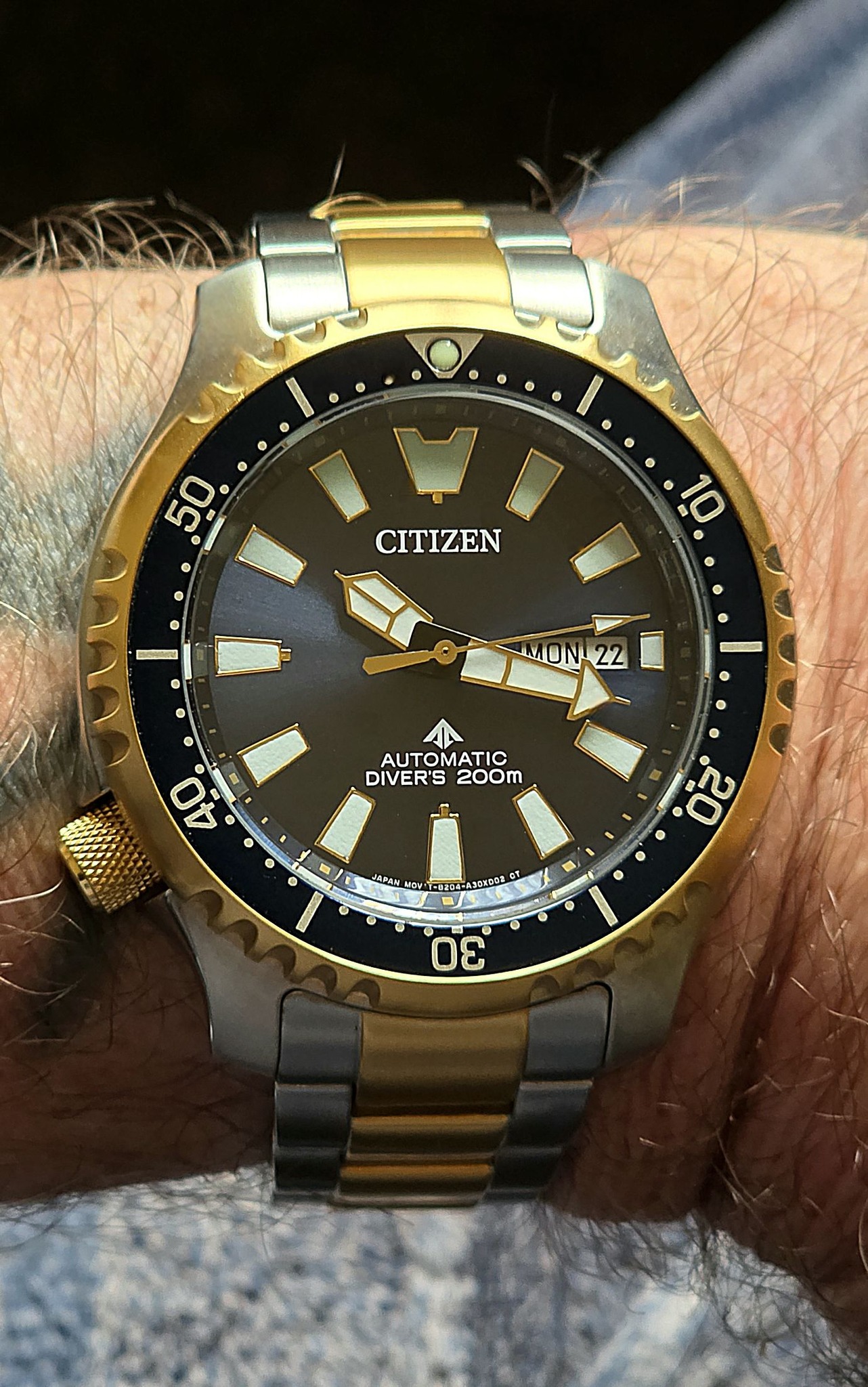 Citizen Promaster NY0040 vs Fugu black bezel dive watches