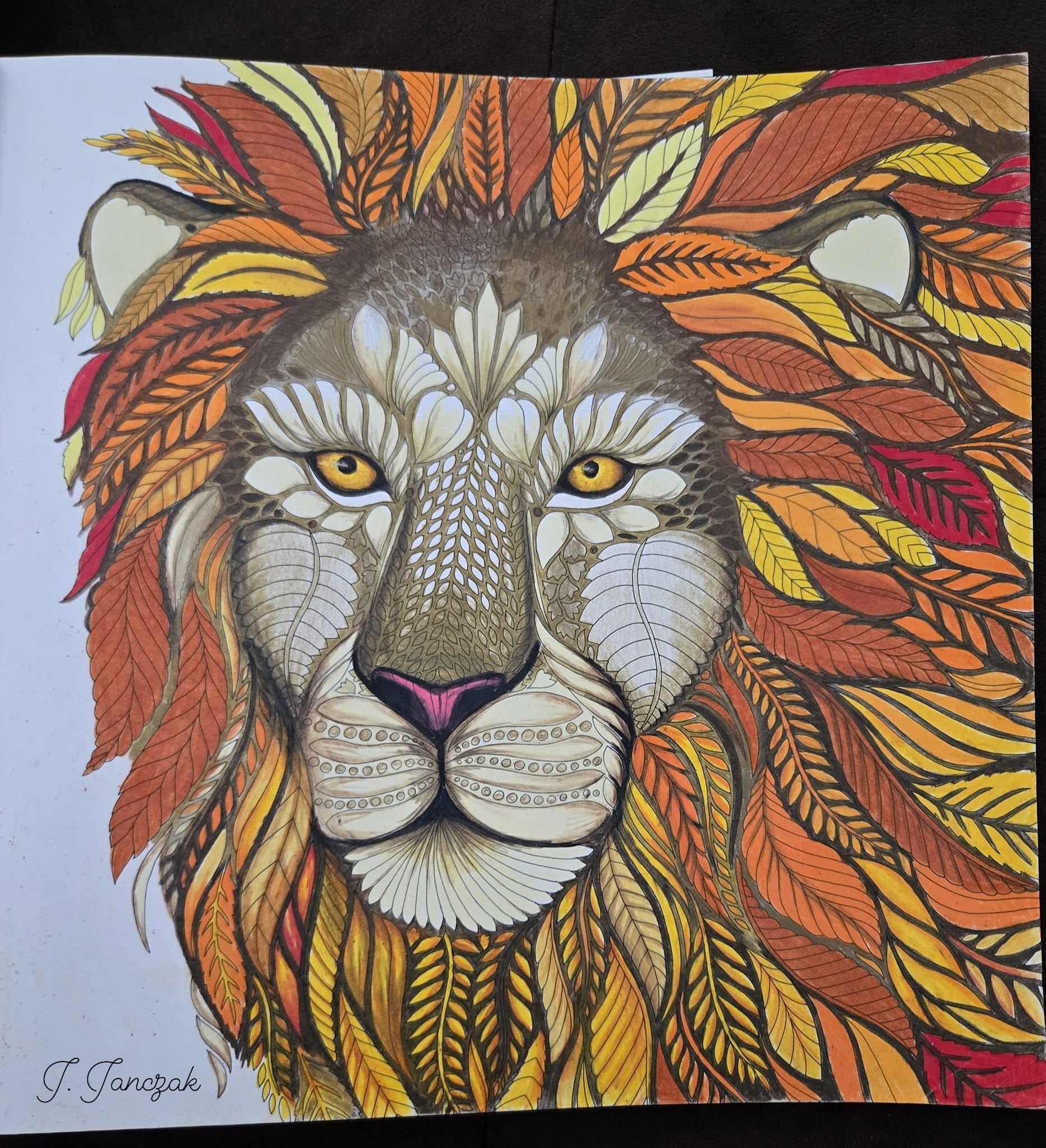 Millie Marotta's Wild Savannah lioness and lion with Prismacolor