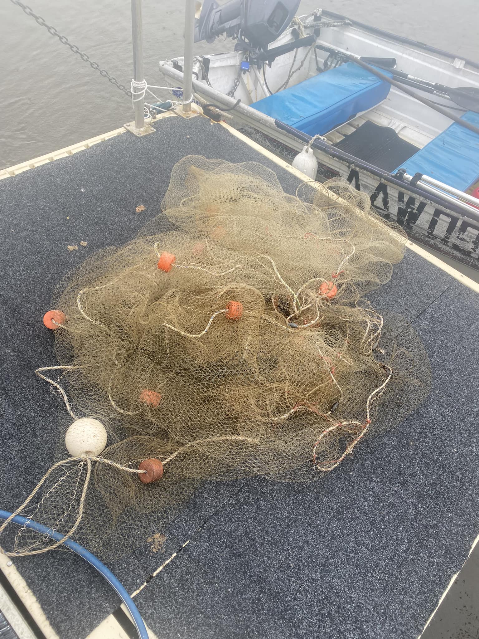 drag net fishing qld Nylon Prawn Net: 30mm Mesh Size  Haverford Surecatch Mono Drag Cast Net