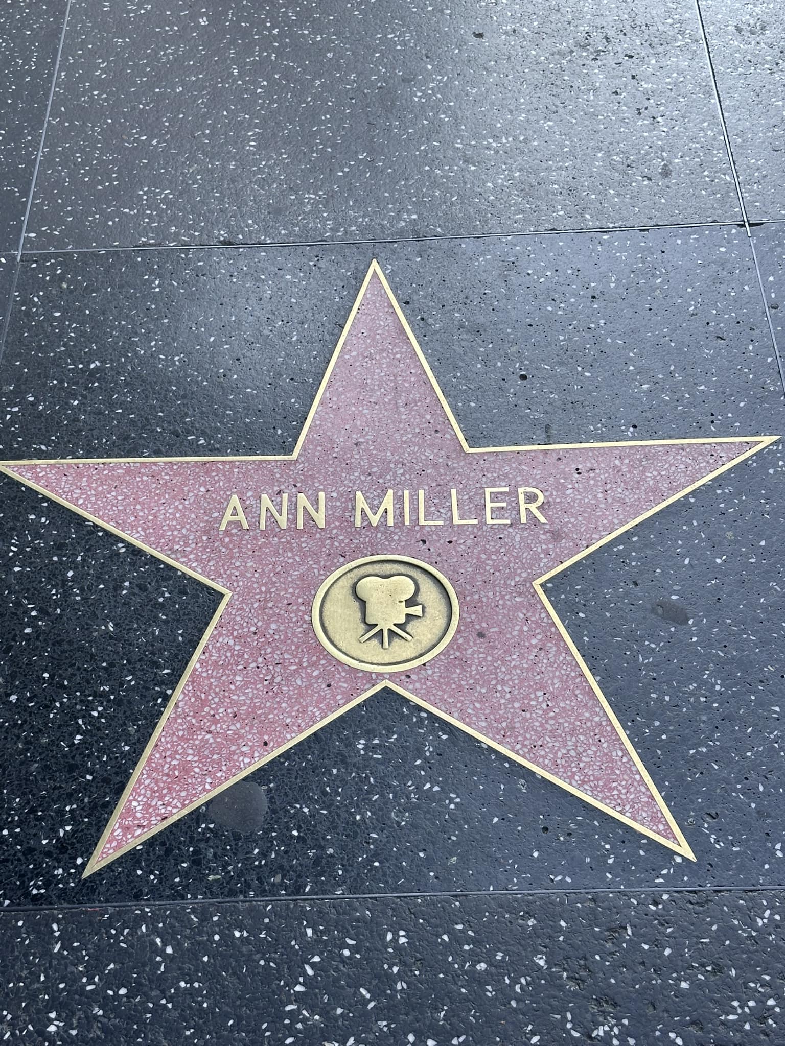 Ann Miller, a true Hollywood star