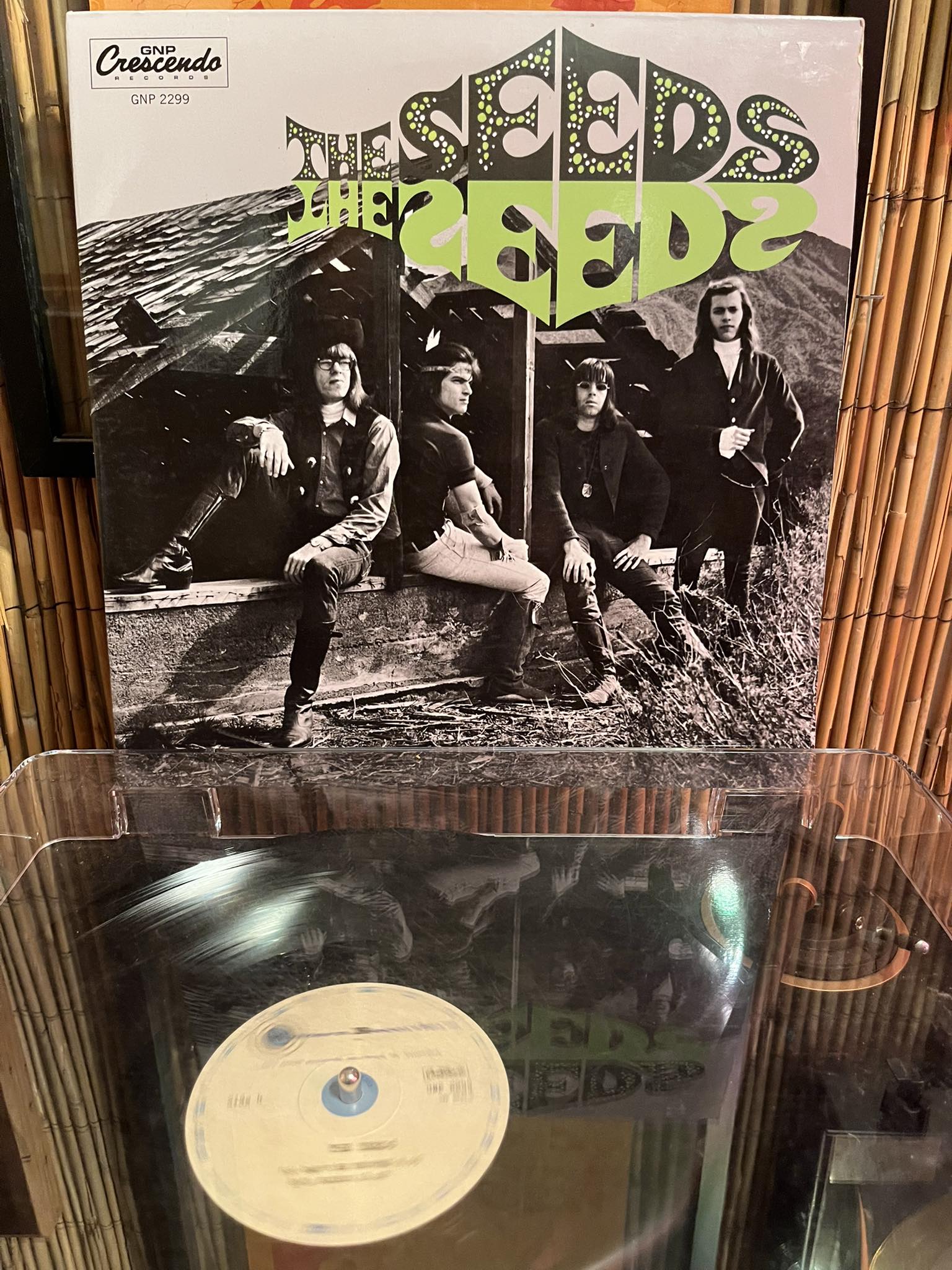 The Seeds “A Web Of Sound”