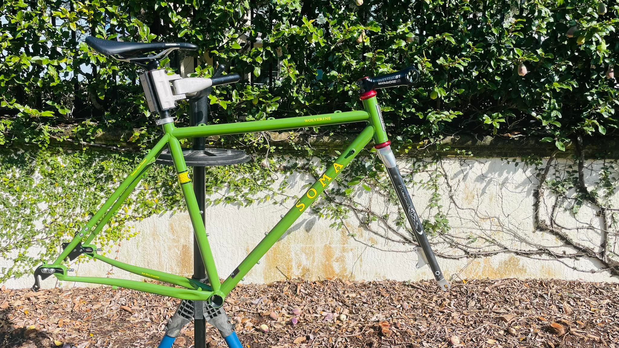 Soma wolverine for sale