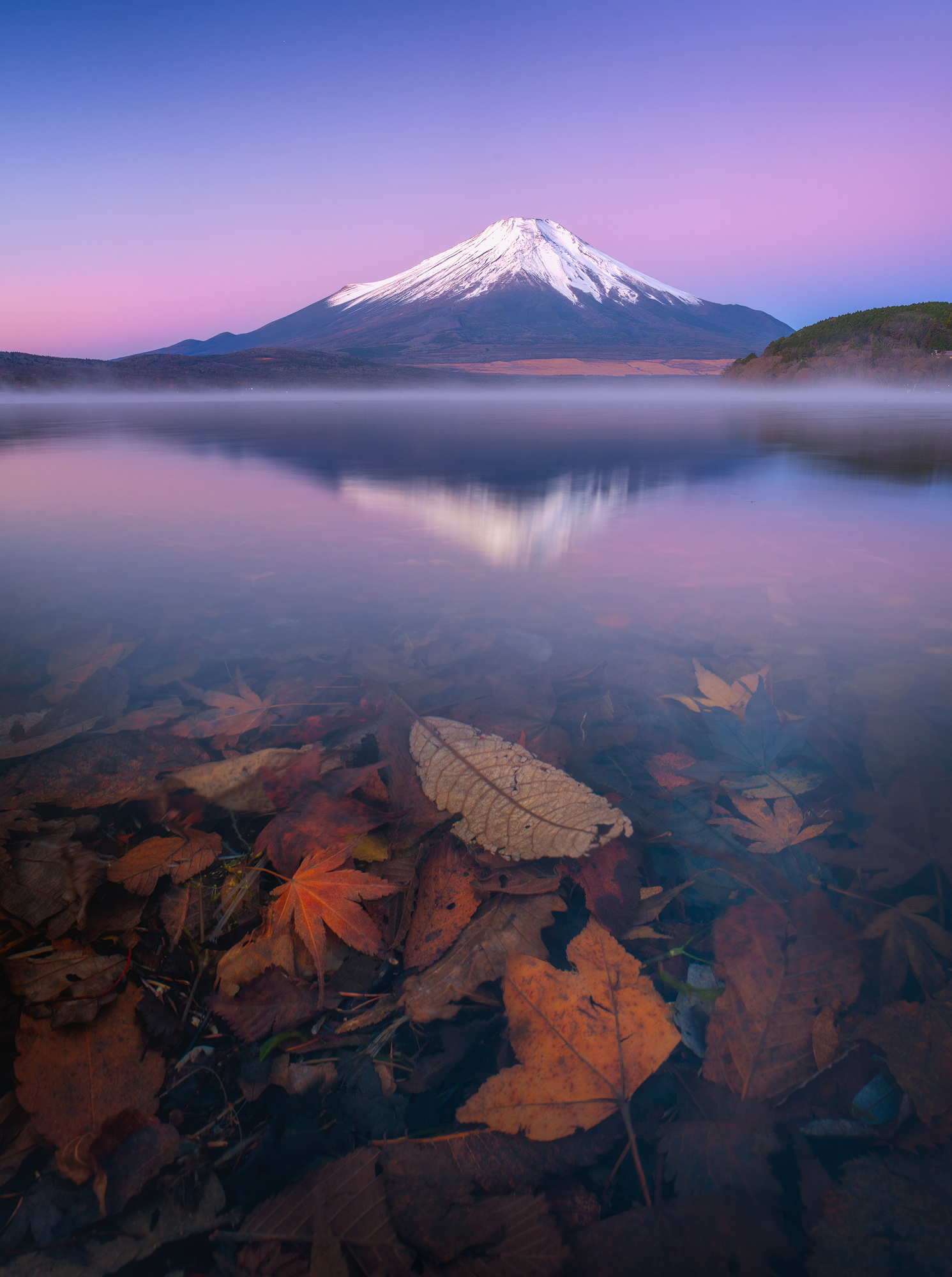 Red Mt. Fuji(赤富士) from Tama Lake(多摩湖) at dusk. Higashiyamato