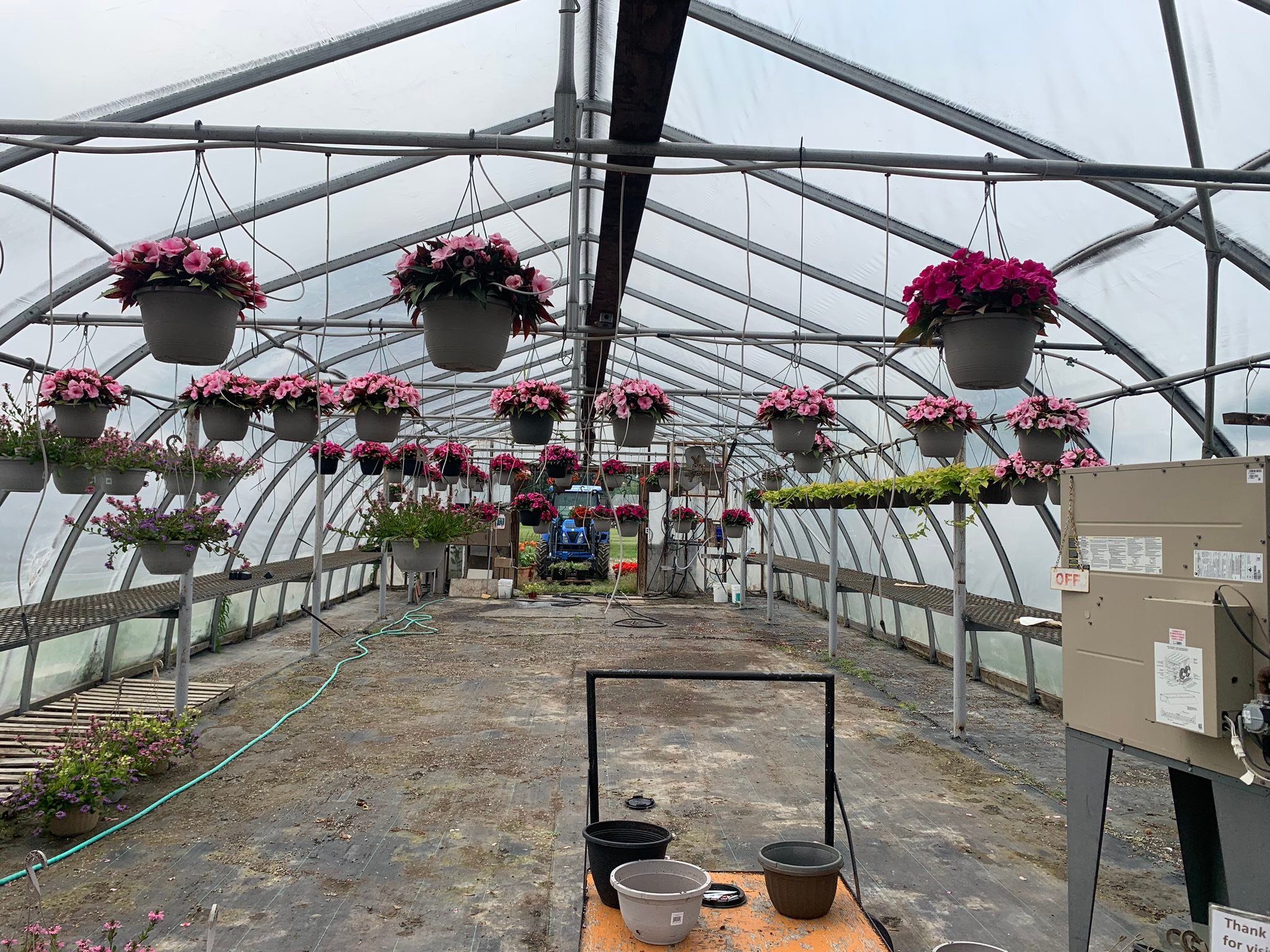 Greg Rocheleau - Hanging baskets today only $10 each.... | Facebook