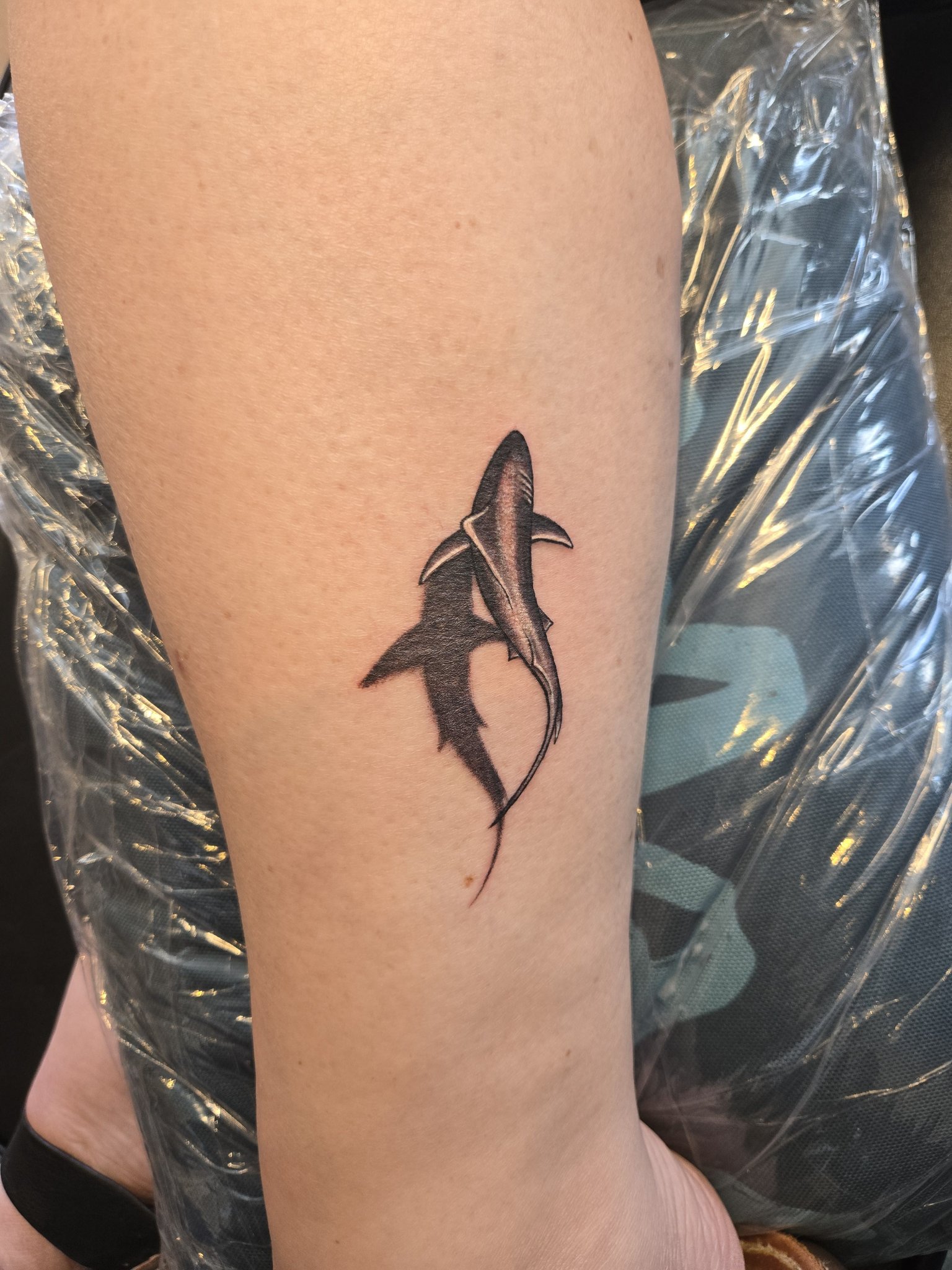 Emily has 106 shark tattoos! 🦈