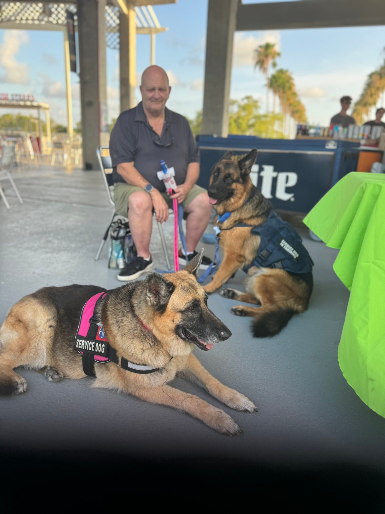 Big Cypress German Shepherd Rescue