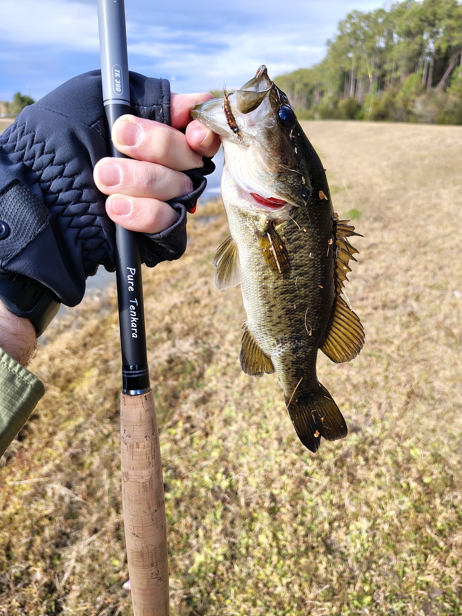 amazon trout fly reels Sage Reel 2/3/4 / Stealth / Silver Vintage Series tone drag knob sports Model:KDS-463LX Okuma Aventa Center Pin