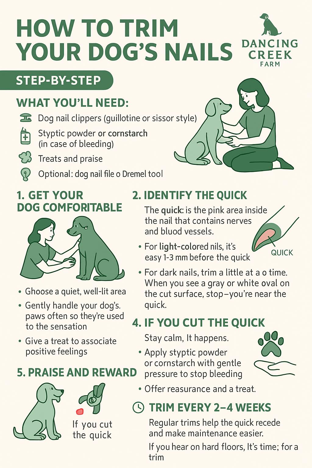 How to Trim Dog Nails Without Clippers: Easy Techniques