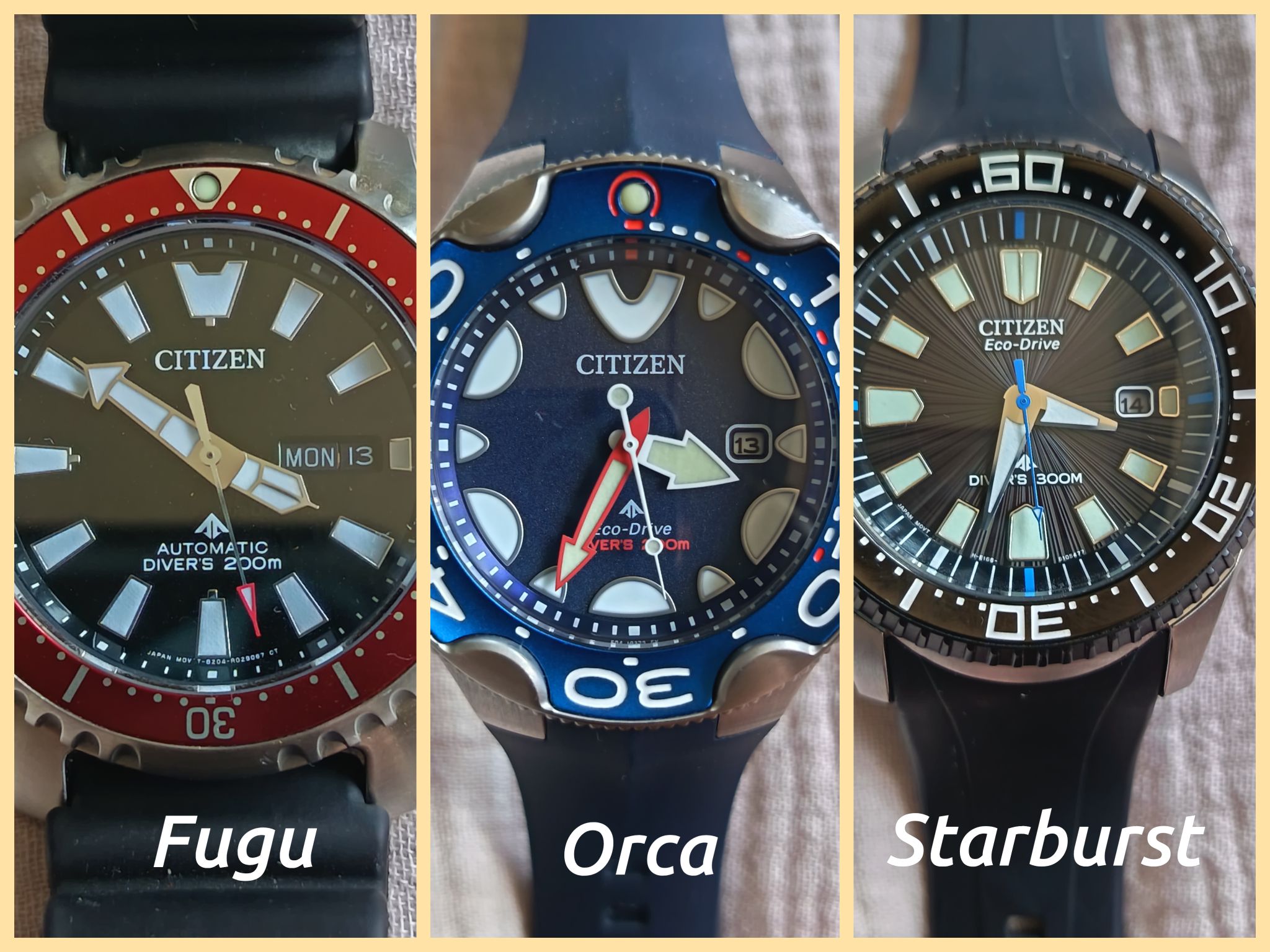 時計 CITIZEN NY0040 fugu Citizen Fugu Ny0040