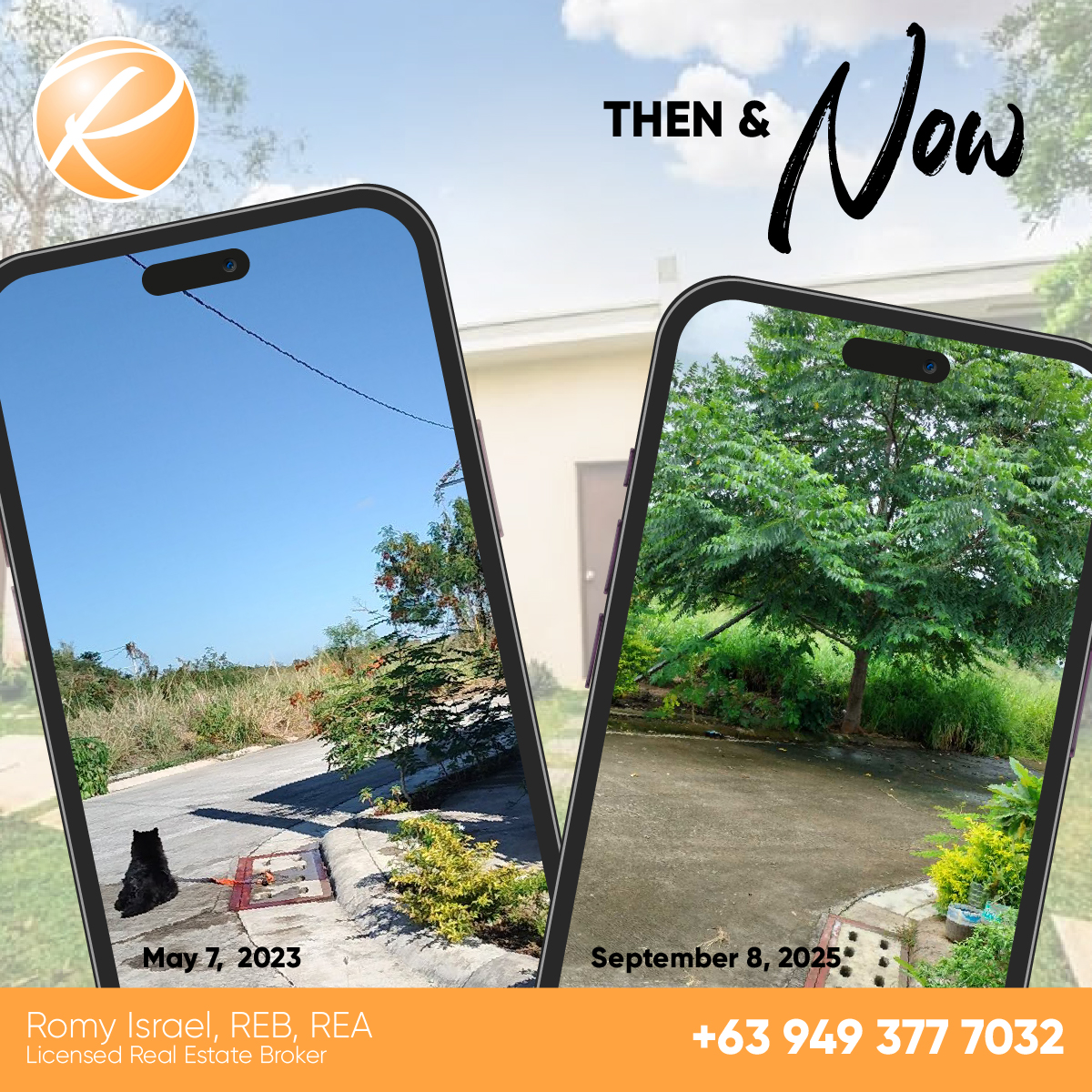 Romy Israel - 🌳 Then & Now 🌳 I’m grateful to have planted... | Facebook