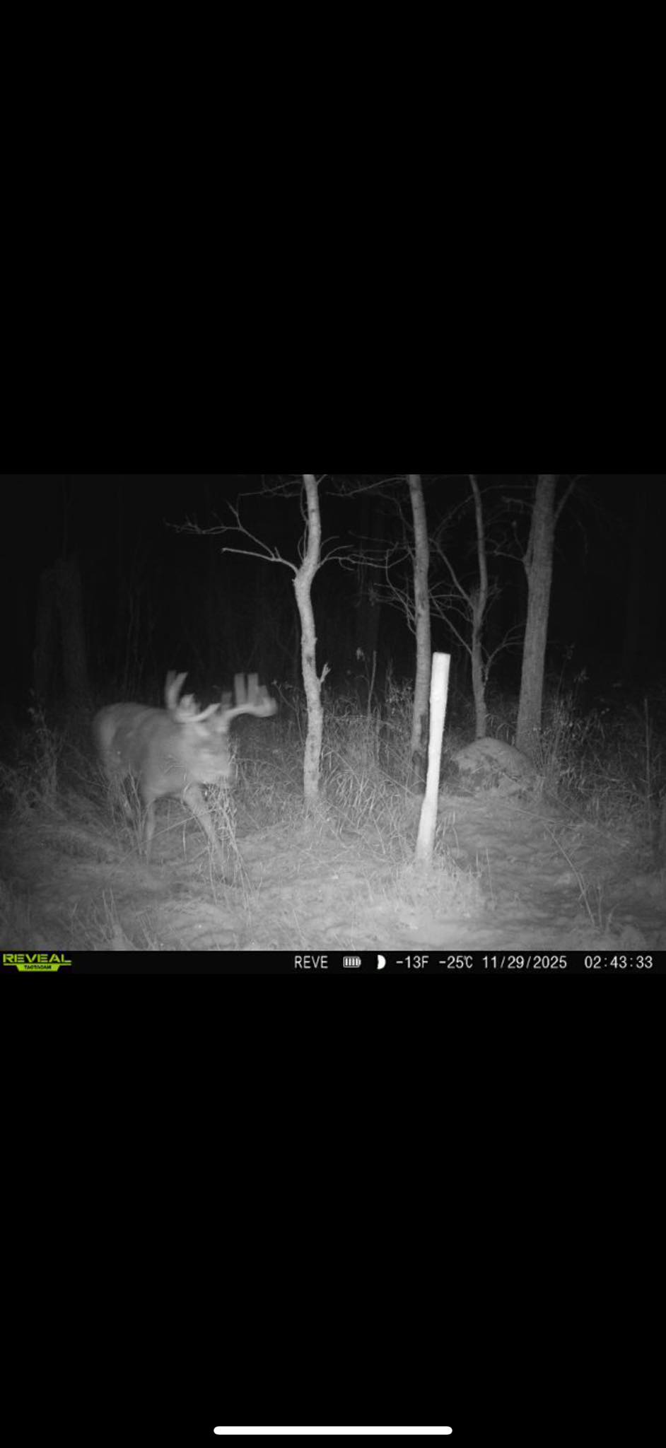 TACTACAM REVEAL NOVICE GROUP/specifically for new users | -25 degrees ...