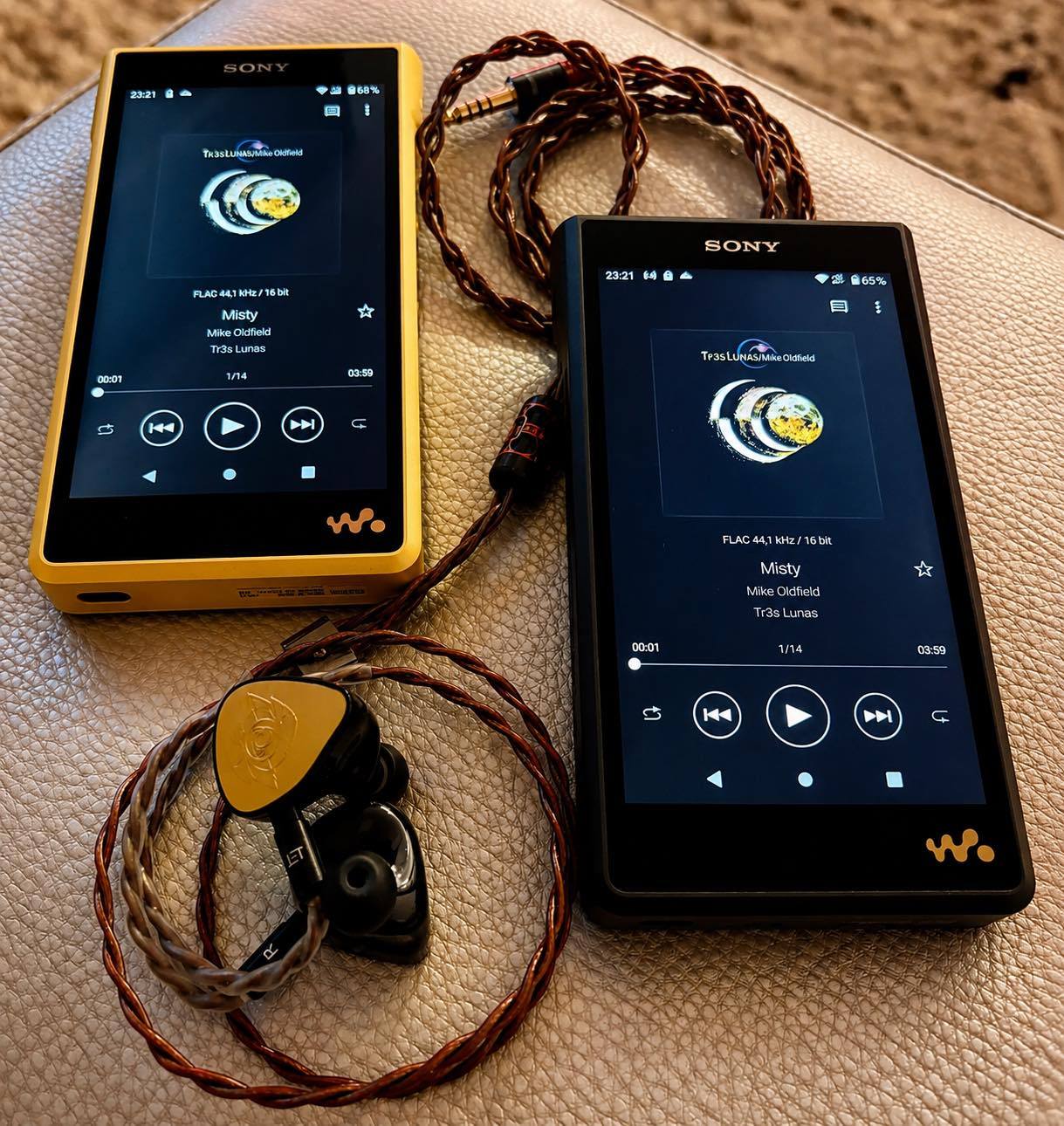 Testing Sony NW-WM1AM2 #SONY #Brothers