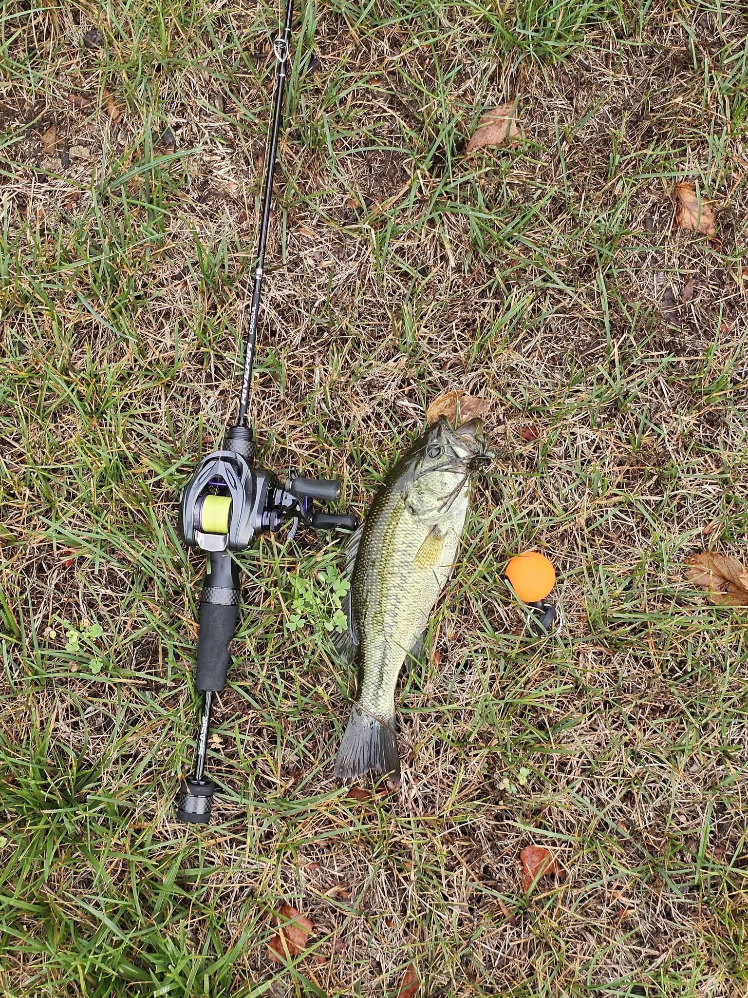 Review of dmk cheetah air reel