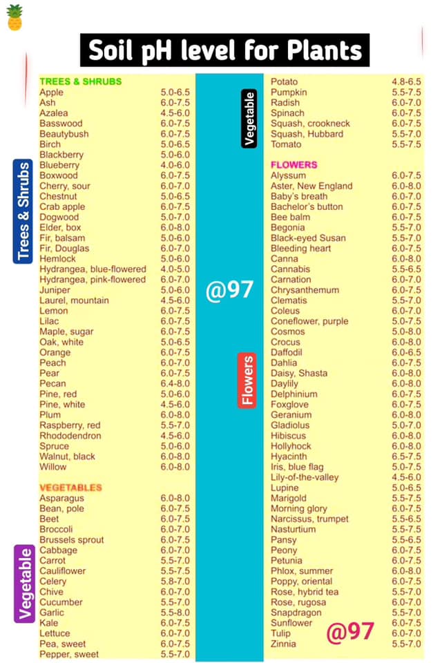 97 - Common pH level of Soil for Plants 🏓 #Science #studentlife #botany ...