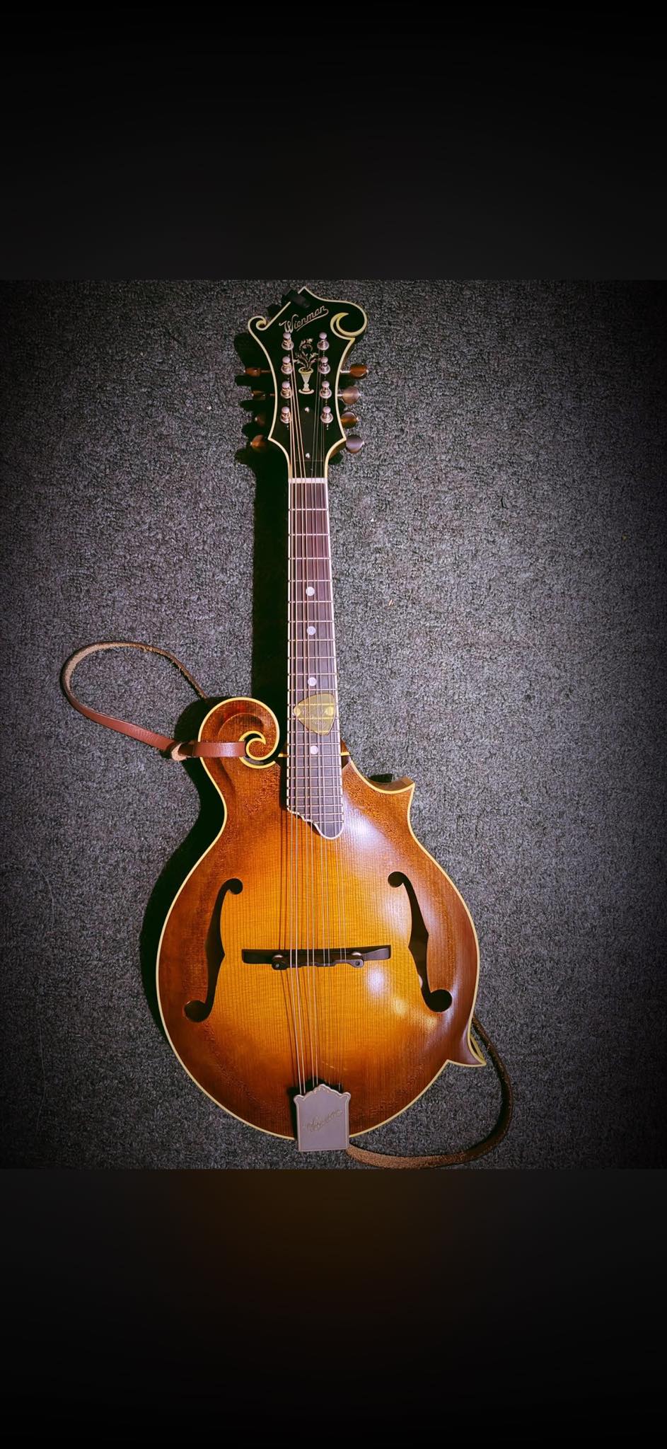 What is a Vinaccia mandolin with F.lli Vinaccia label?