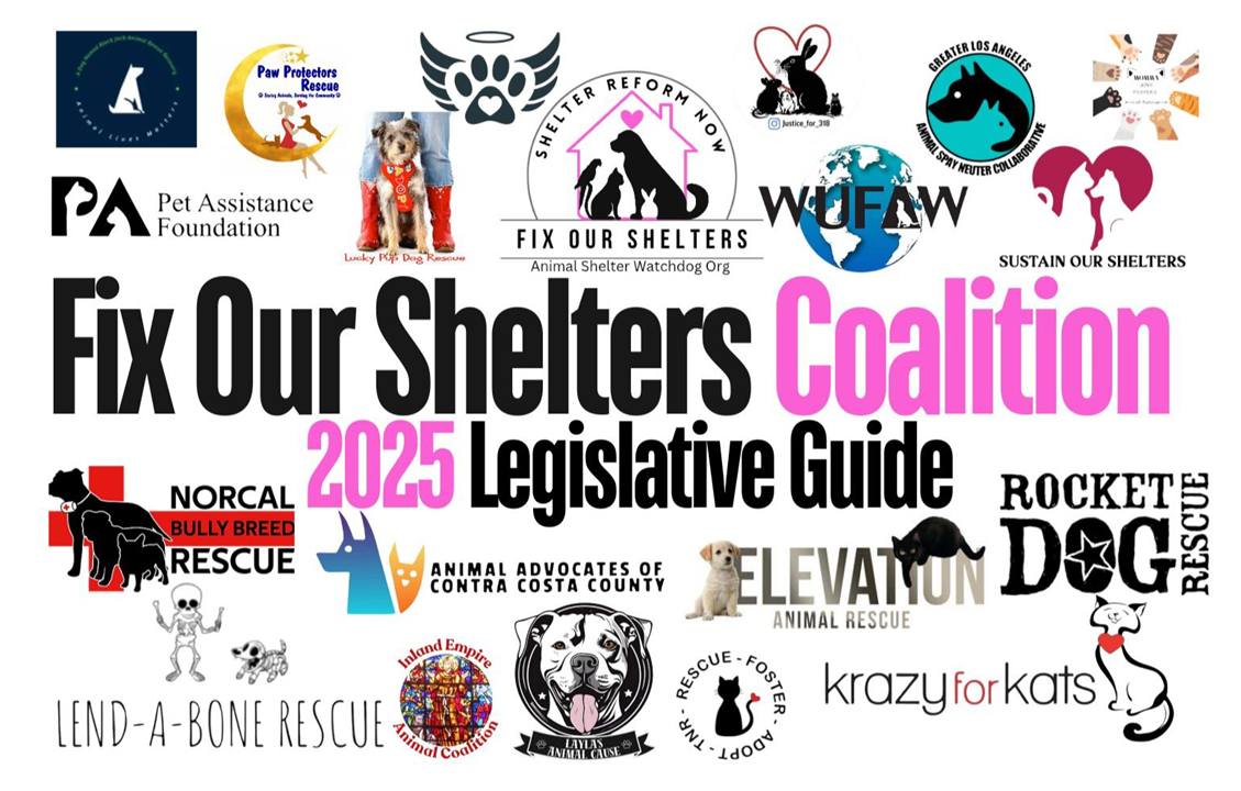 Fix Our Shelters | 🚨 **URGENT CALL TO ACTION: OPPOSE AB 631 ** | Facebook