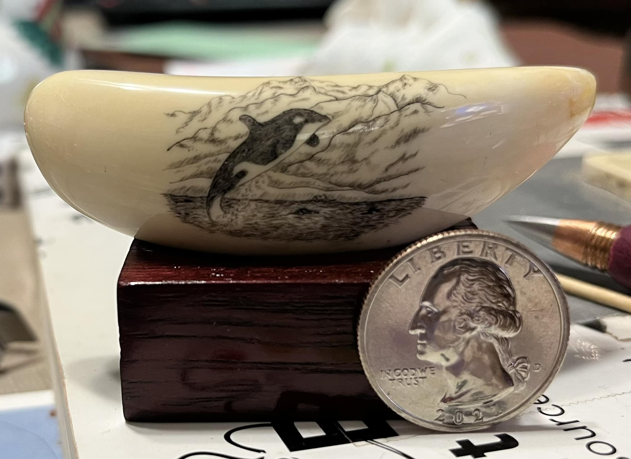 My latest work. Pre-ban Orca tooth.