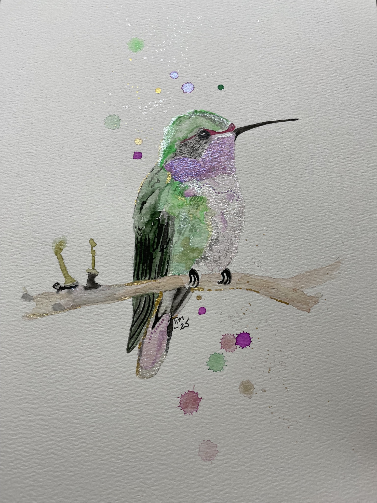 Hummingbirds & Butterflies | Safe landings for our Hummers homecoming