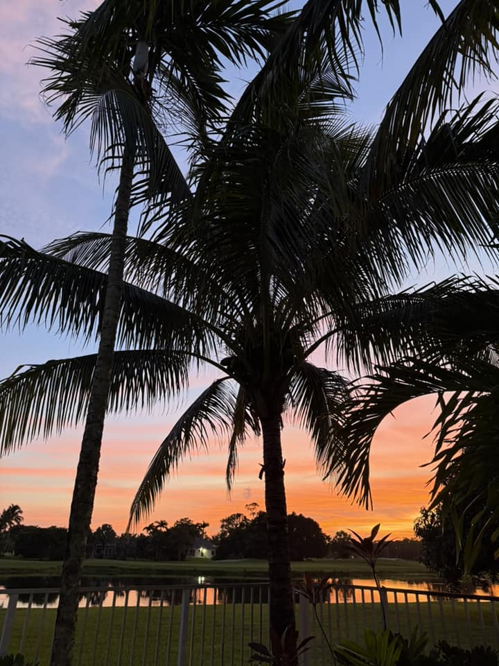 Florida sunsets are the best. Thomas Kupillas caught the moment