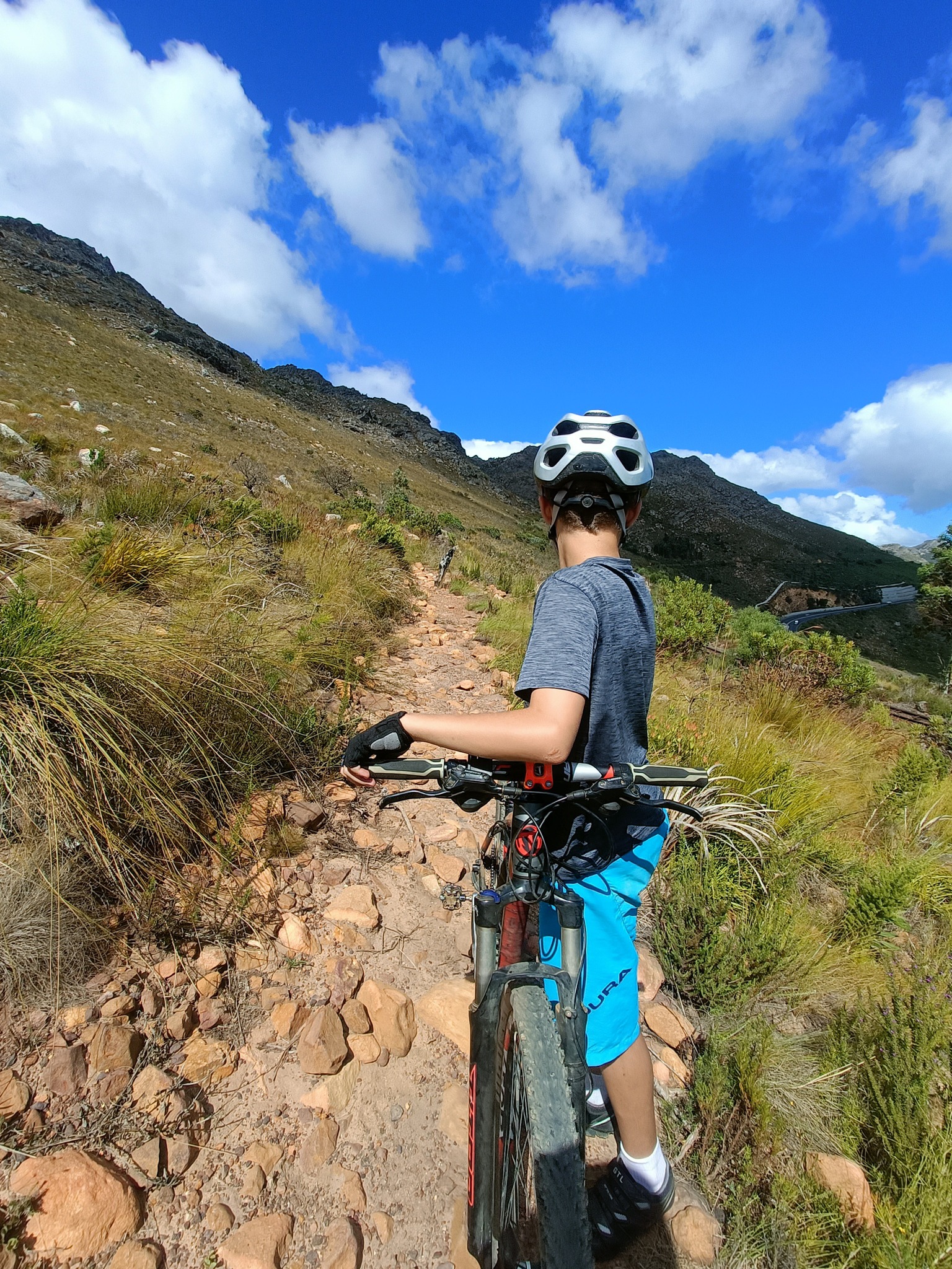 Ludwig Neethling