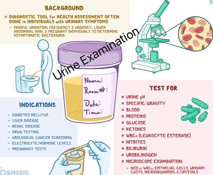 Inter Med Lab - What is a urinalysis? A urinalysis (UA) is... | Facebook