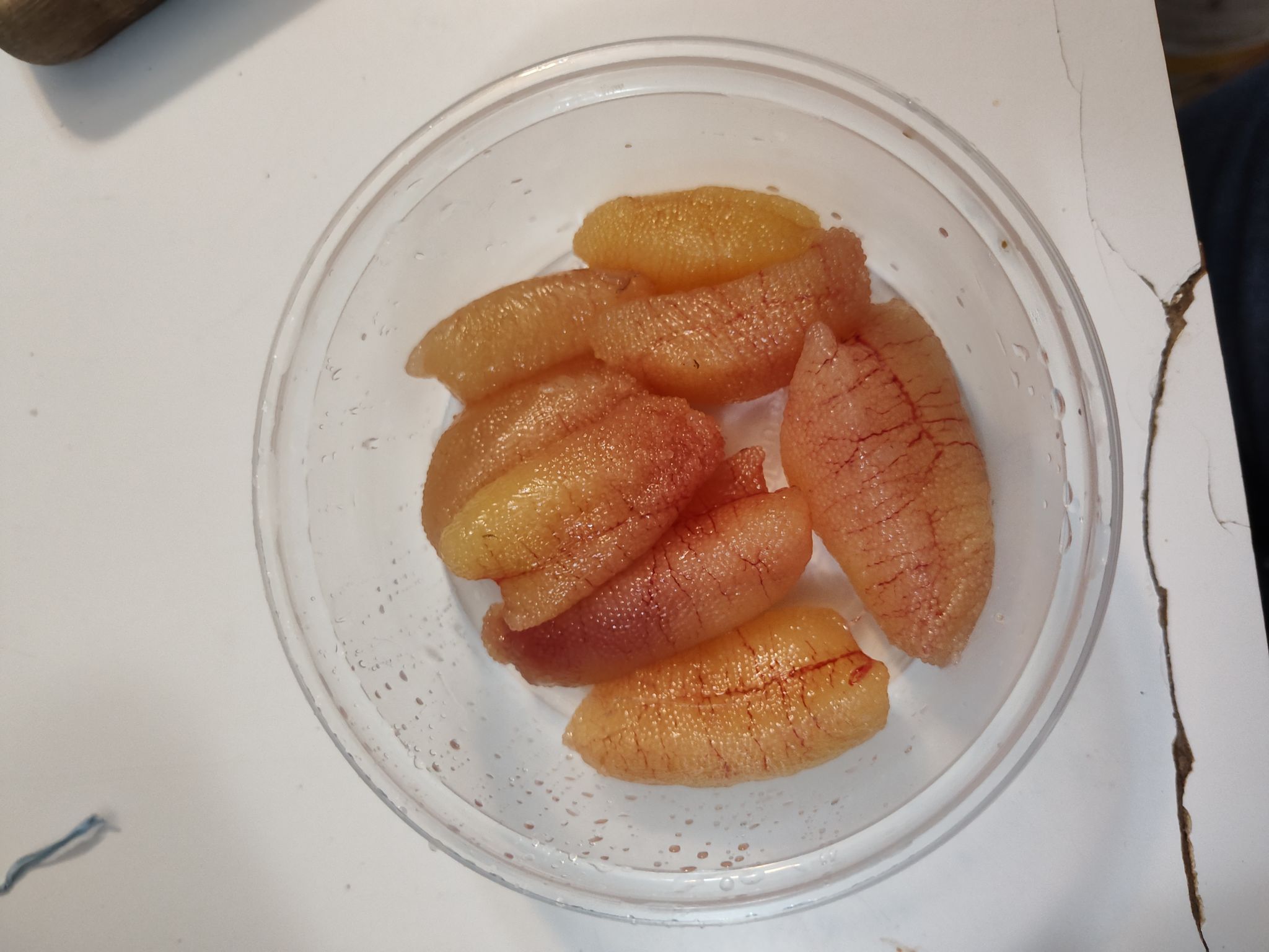 Anyone on here eat perch roe? How do you like to prep and cook? | Facebook