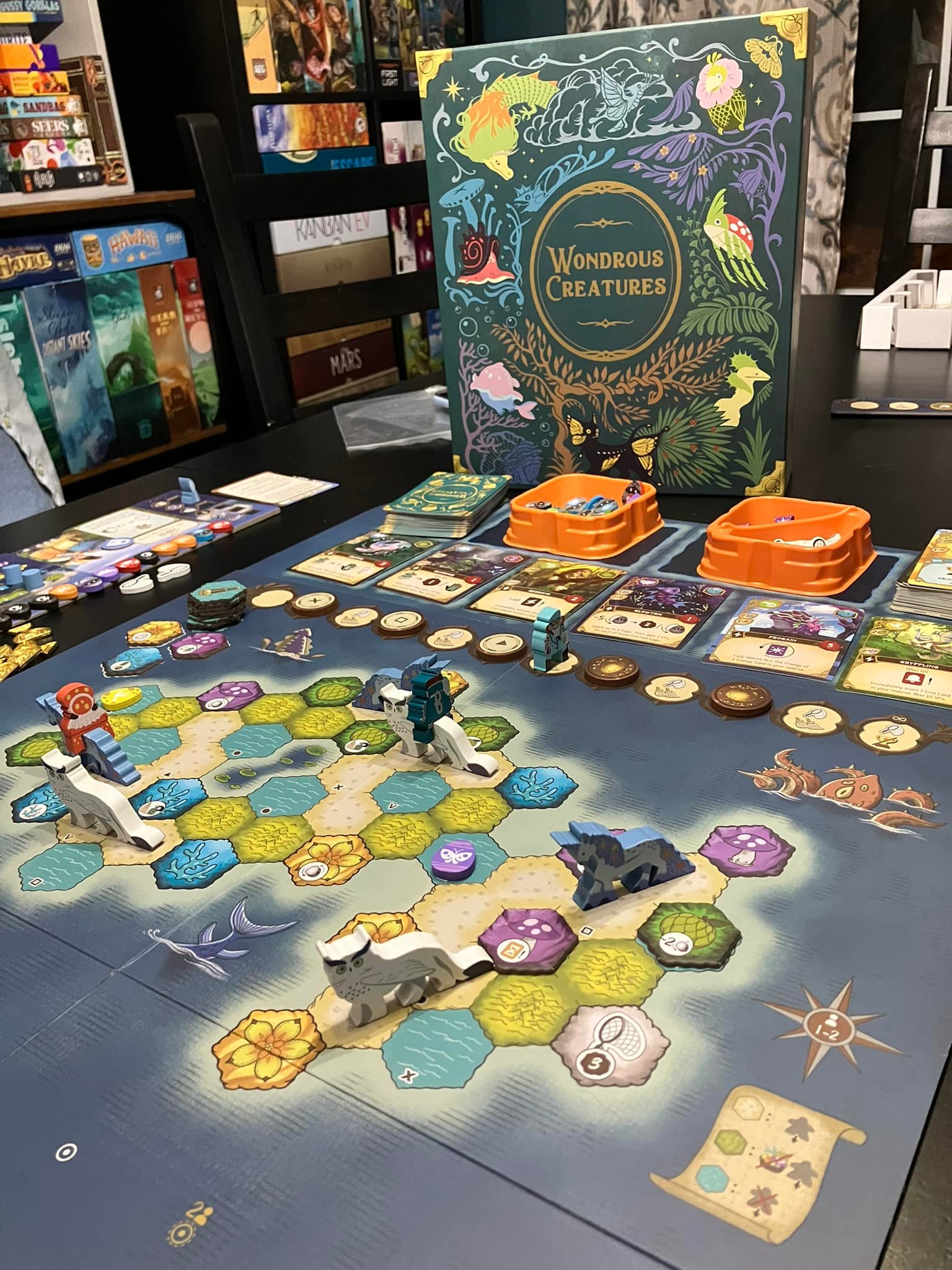 Wondrous Creatures Board Game Experience