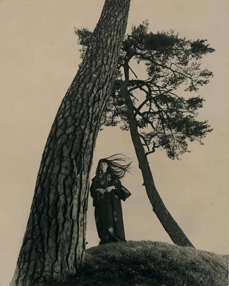 Masao Yamamoto -photography (山本昌男 Yamamoto Masao, born 1957