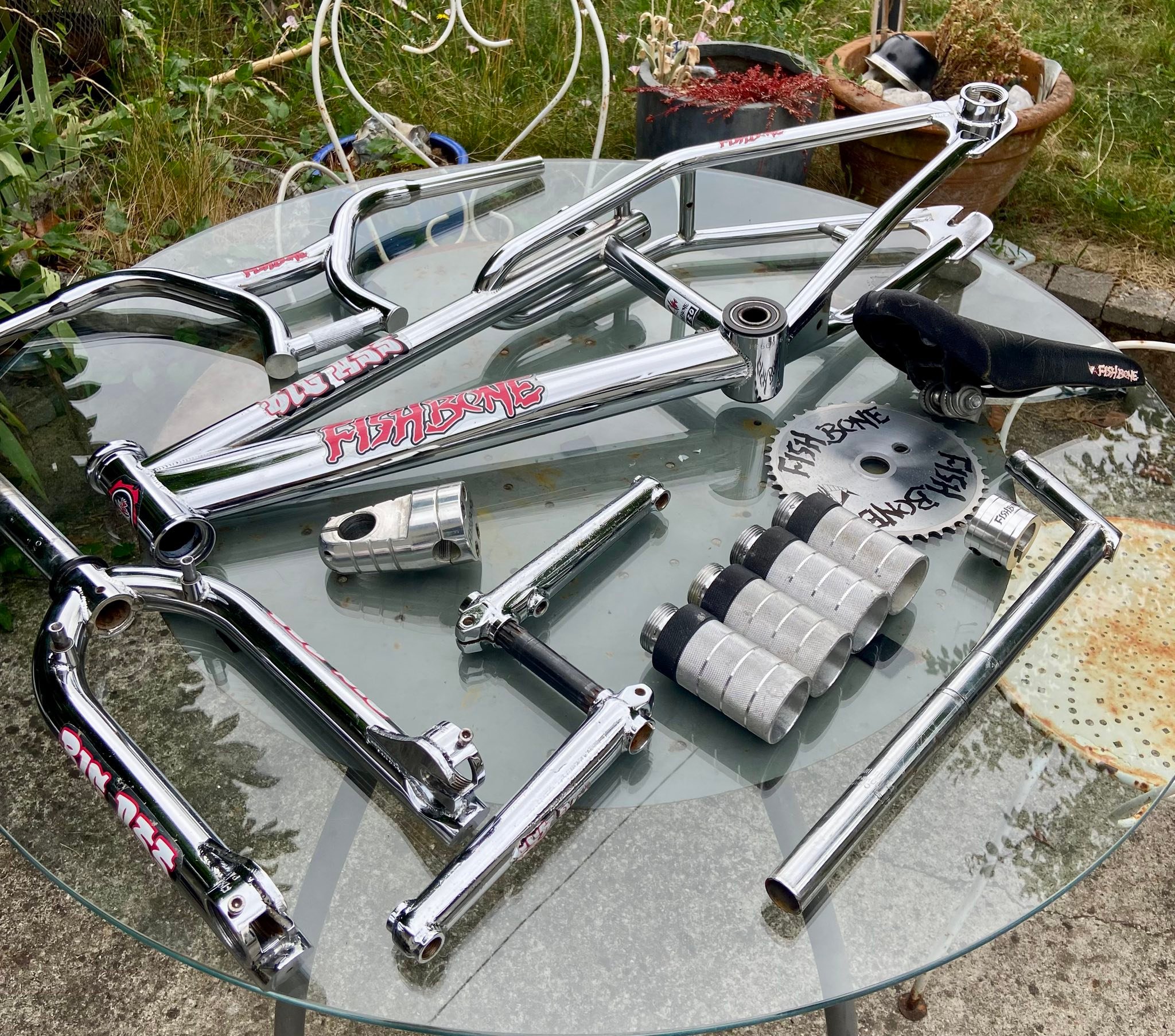 1996 Big Ass Fishbone BMX bike for sale. All original parts