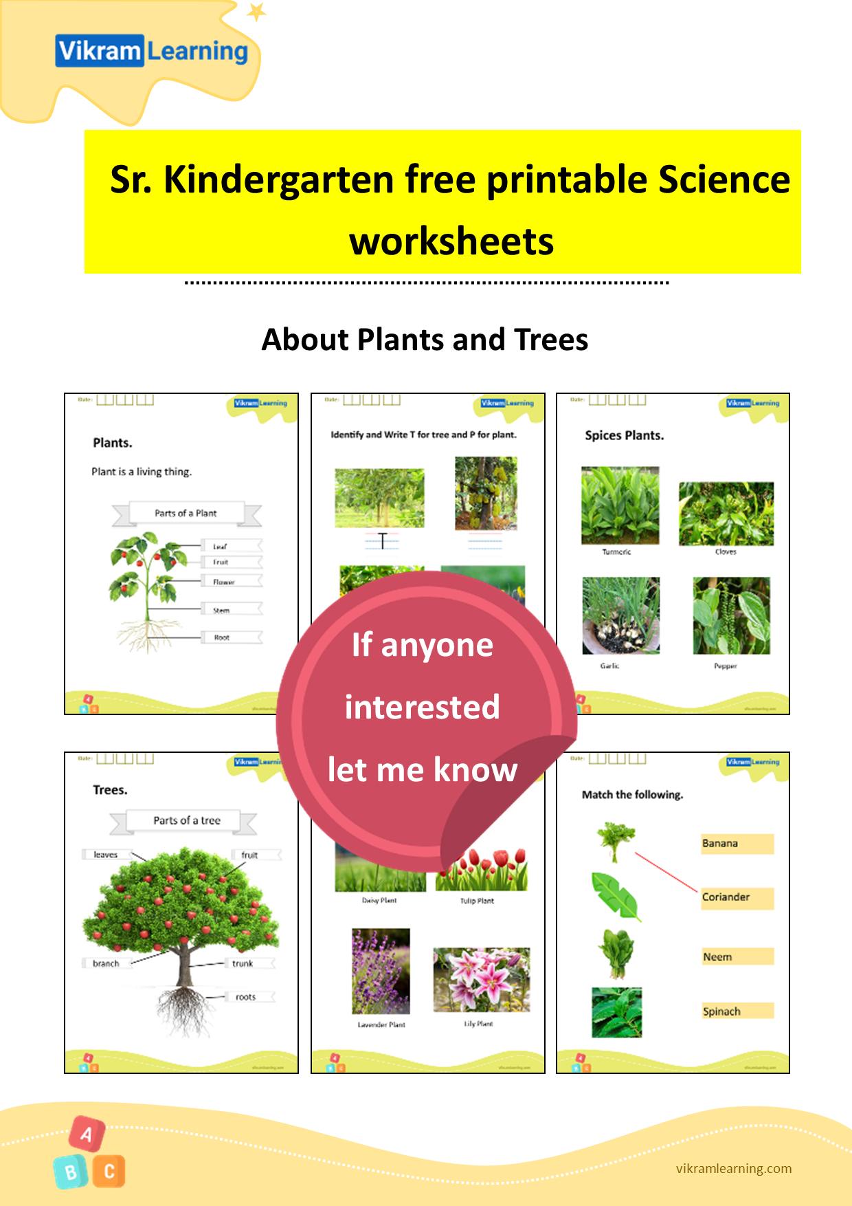 Worksheets for kids | # **UKG and Grade 1 Science Plants and Trees ...