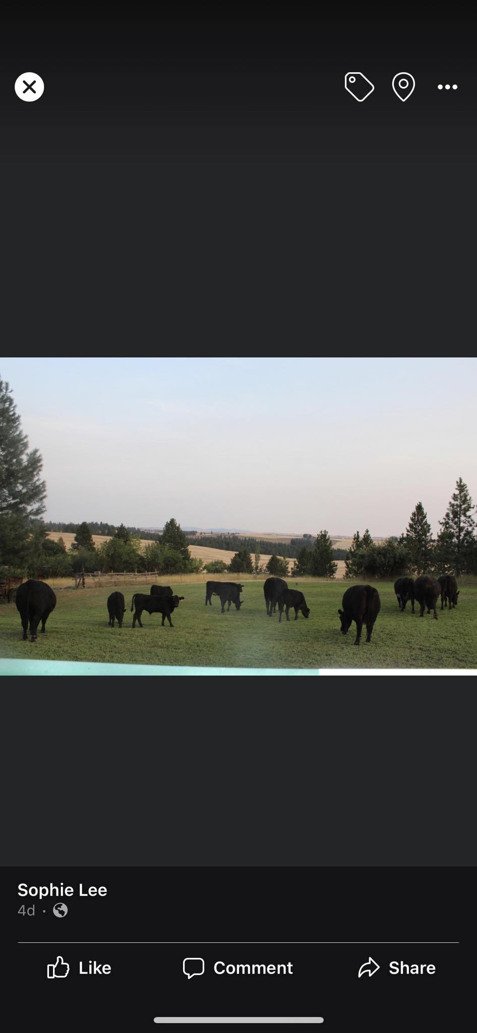 Gless Ranch - Gless Ranch added a new photo — at Gless Ranch.