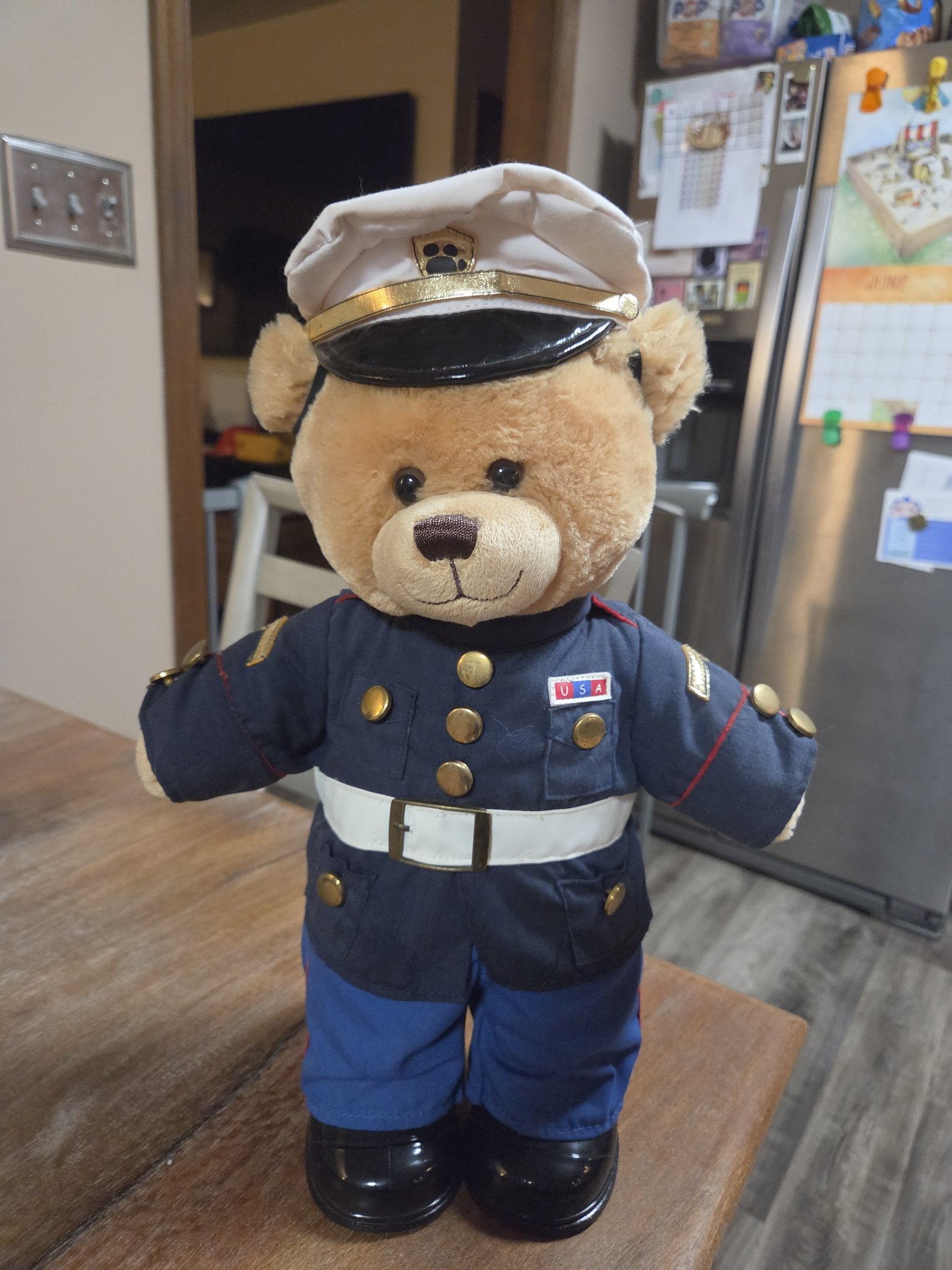 build a bear marine dress blues Packaging for shipping retired Corps Build-a-Bear Size:3 Boys Cap Sleeve Belted Emma liquidation sale dresses Plush bear THE PERFECT GIFT Makes