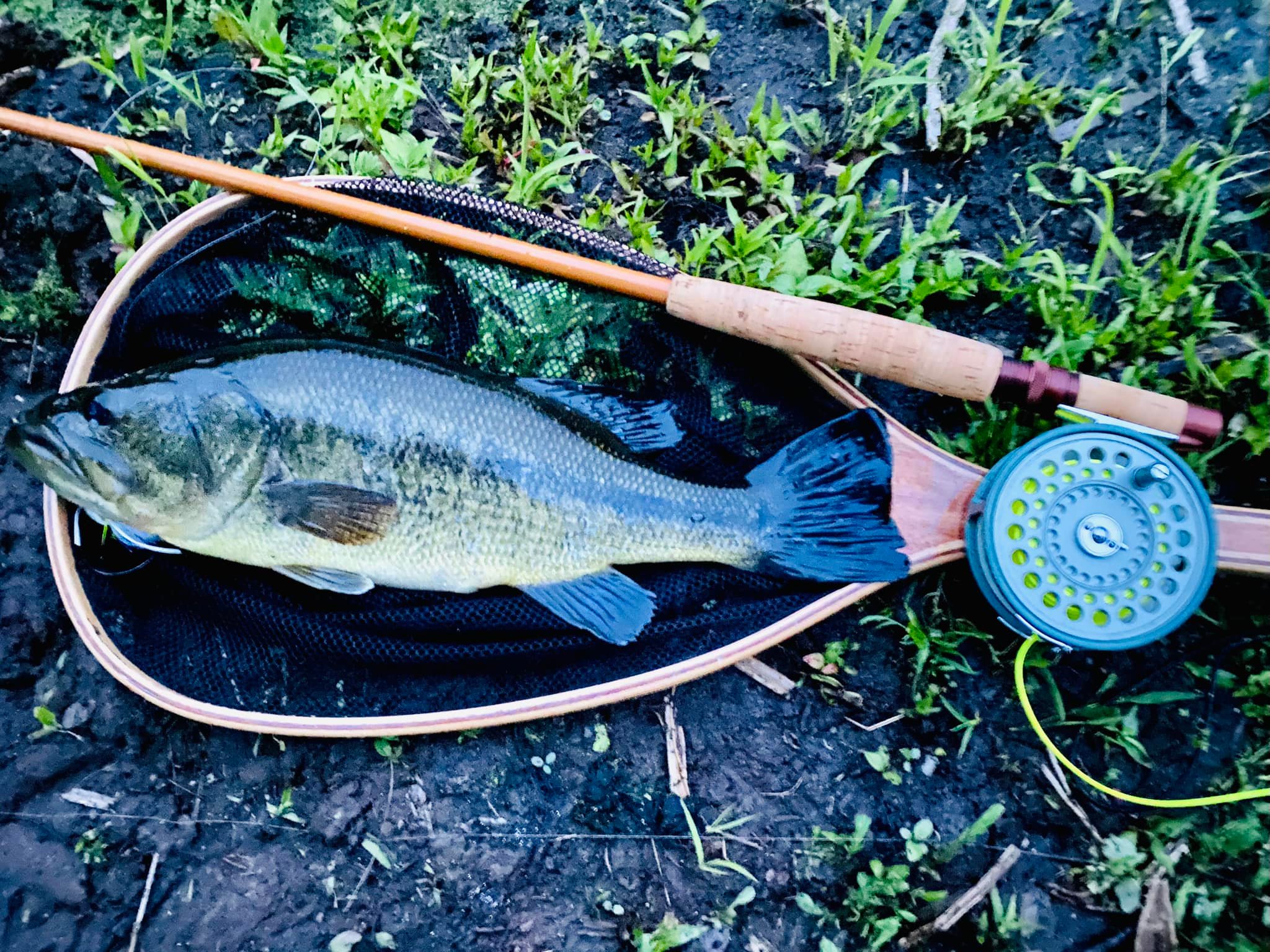 ロッド 53 SAURUS Phillipson Casting Fox FC70 Swamp Fox Deluxe
