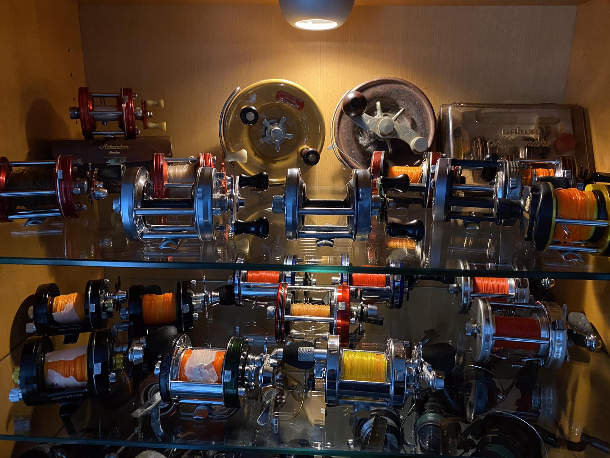 abu sea fishing reels Garcia Max X Low Profile Reel Right Hand and musky anglers a 6500 Using vintage Abu reels for