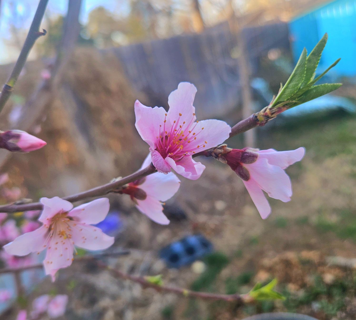 Today marks the Spring Equinox—the... - RaeLa Ornelas Art | Facebook