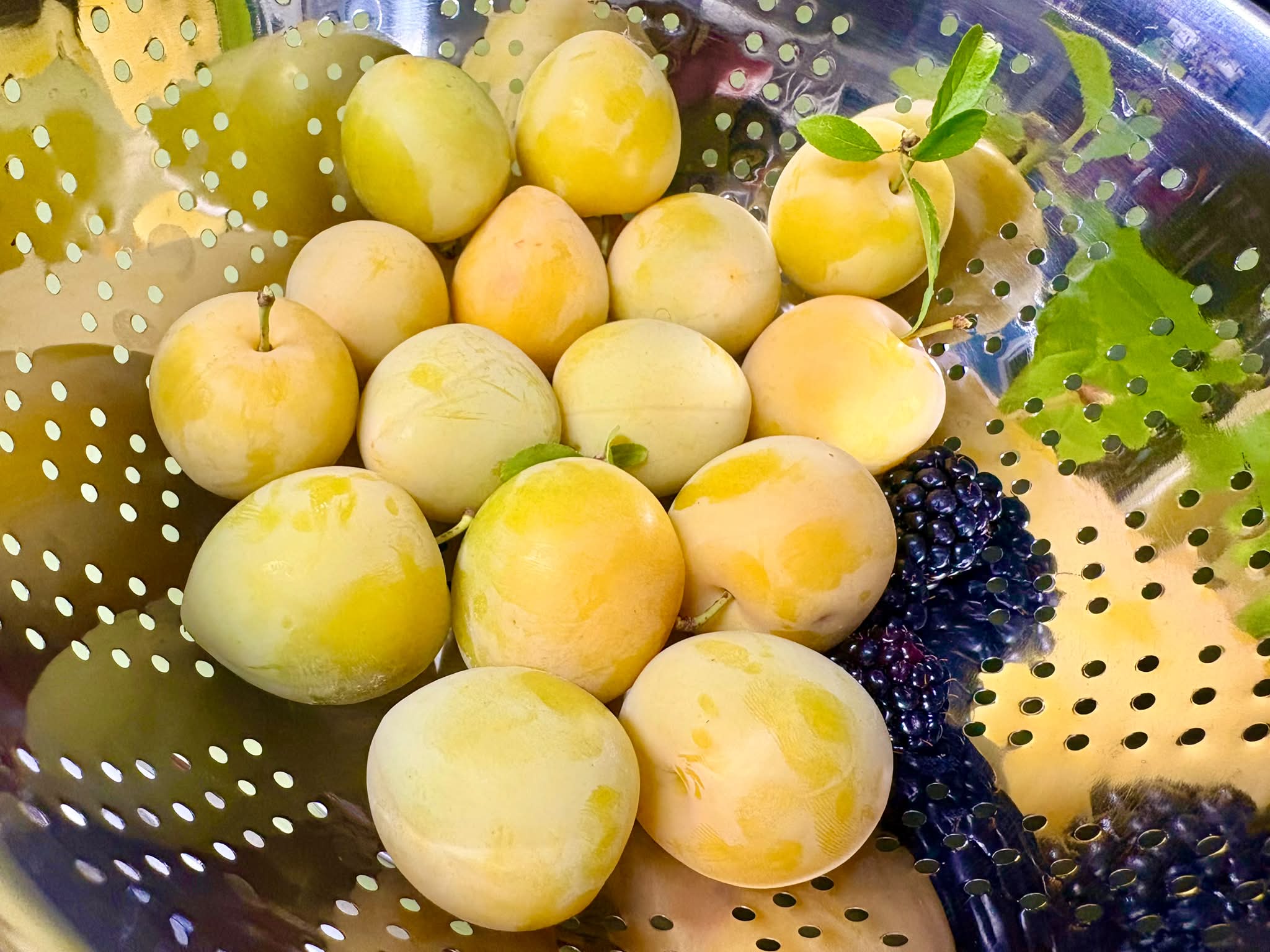 What type are you growing? 🍑👇 I taste-tested three Japanese