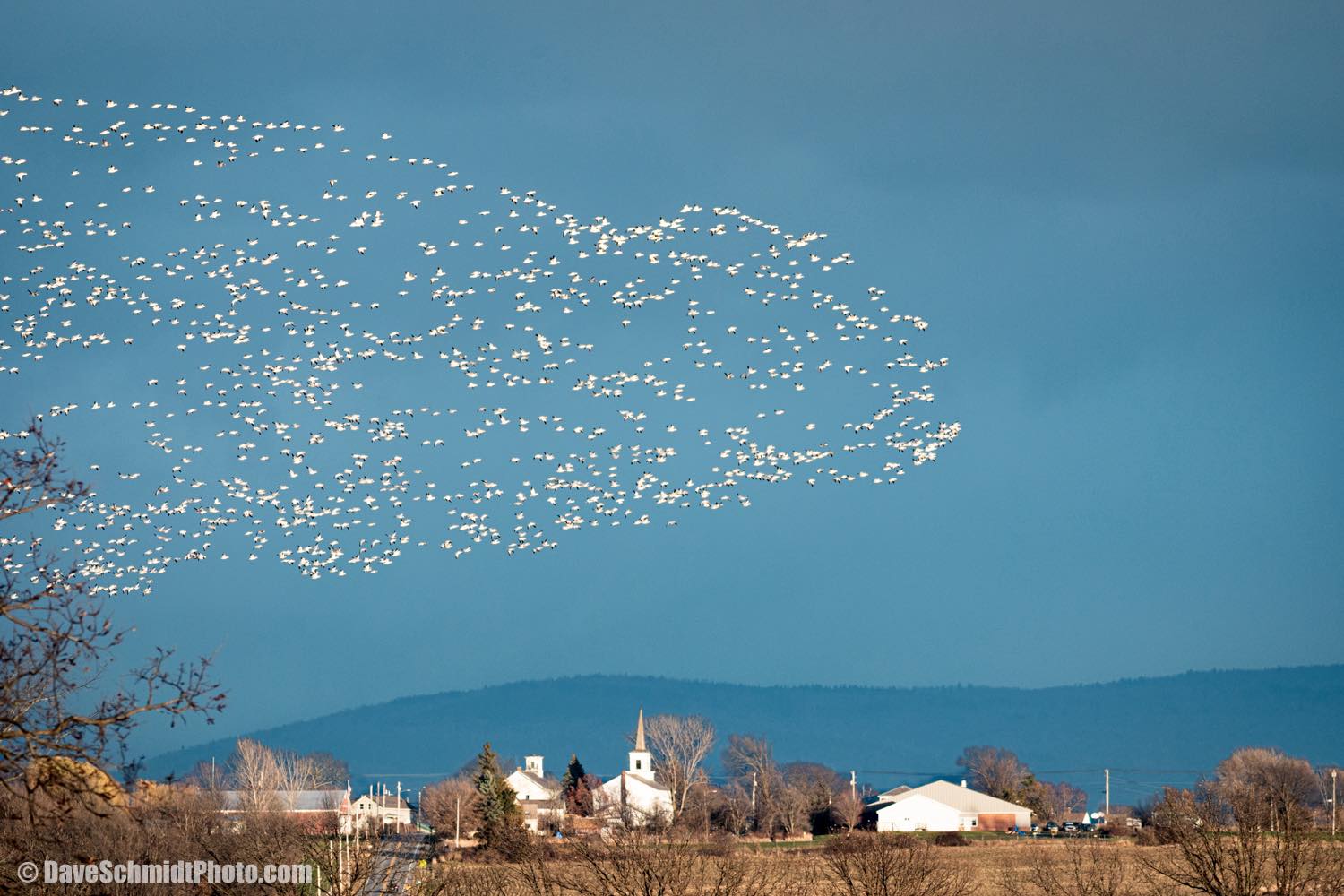 Snow geese over Addison. | Facebook