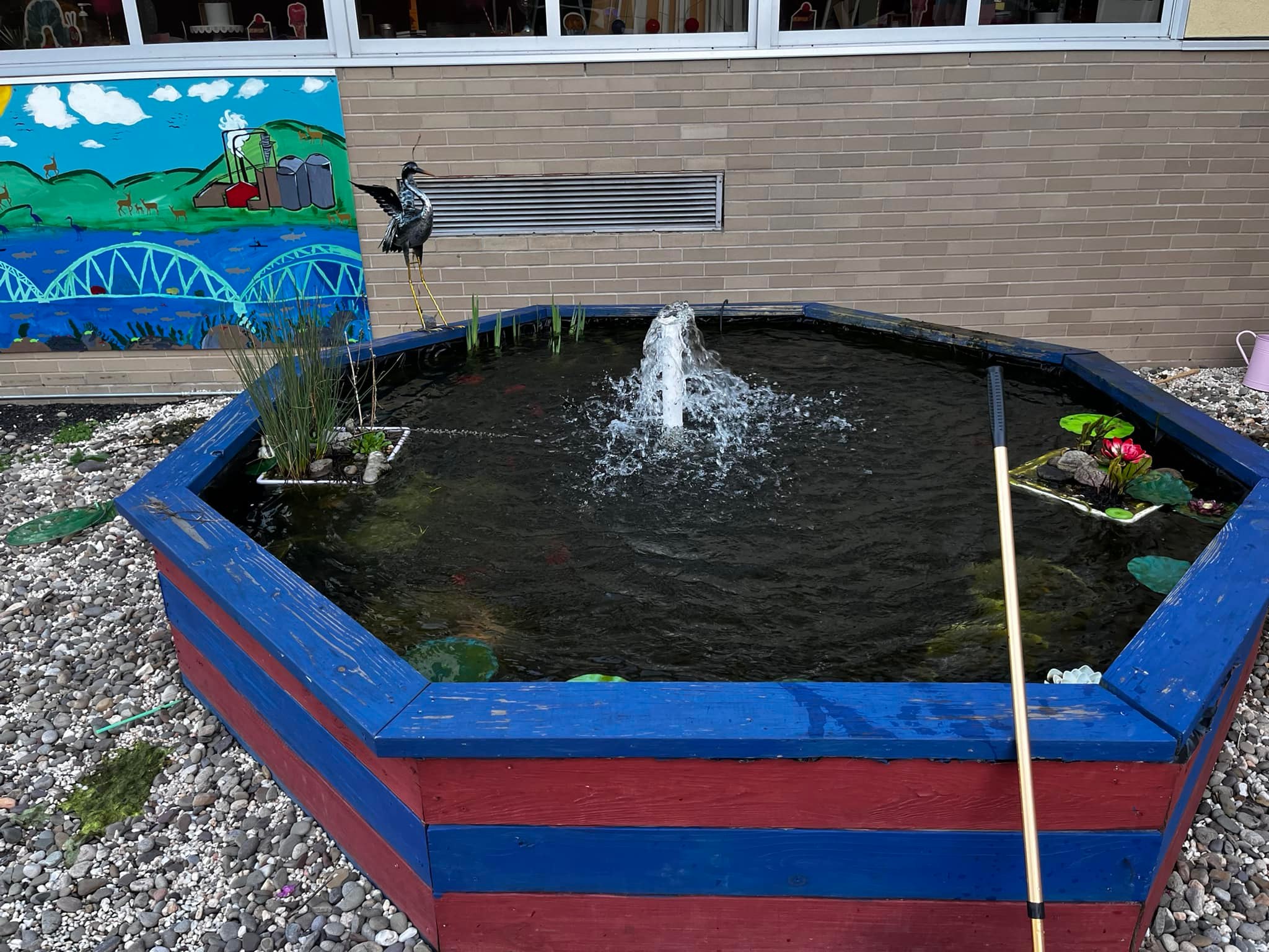 DIY Ponds & Water Gardens | Question? How can i build steps or a ramp ...