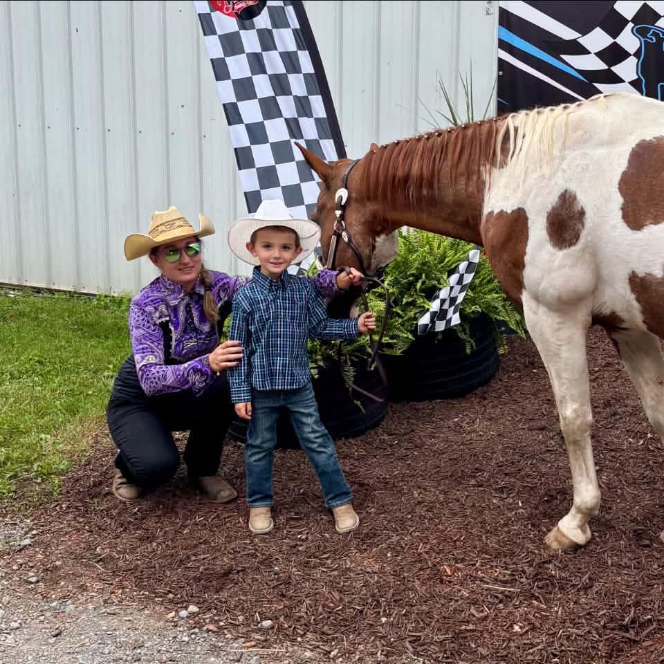 AQHA/APHA Western Pleasure-Show Horses-Prospects | Registered AQHA all ...