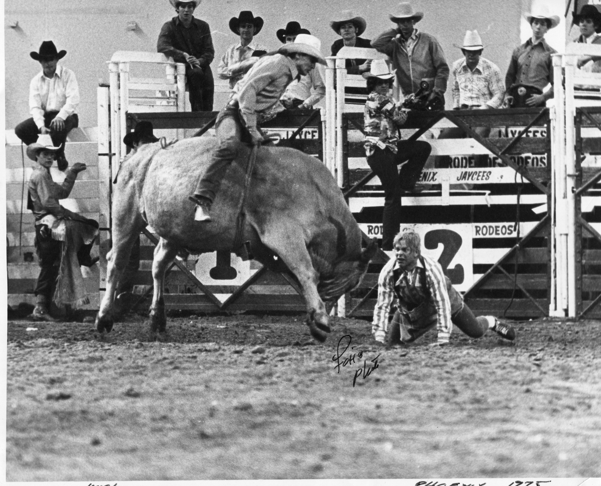 Cowboy - Bronc Bustin' Bascom Boys - L to R. John W. Bascom, Raymond ...