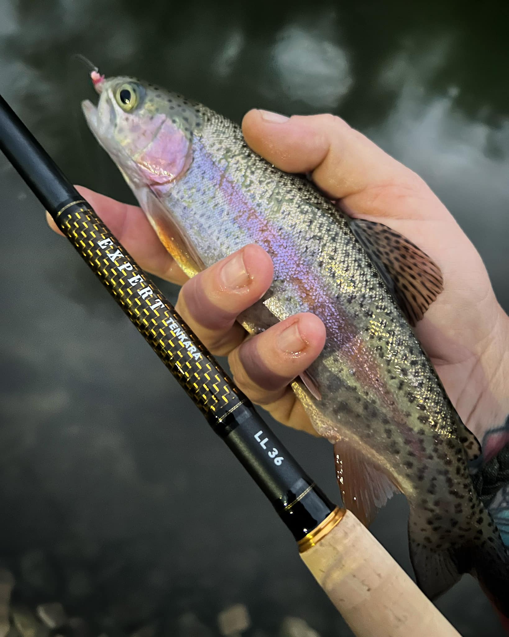 diana fishing pole B'n'M Blacl183w Black Diamond Jig 18ft 3pc Weighted Handle A 28 long replica of a fly fishing rod Diana Penn Fishing Rod Combos