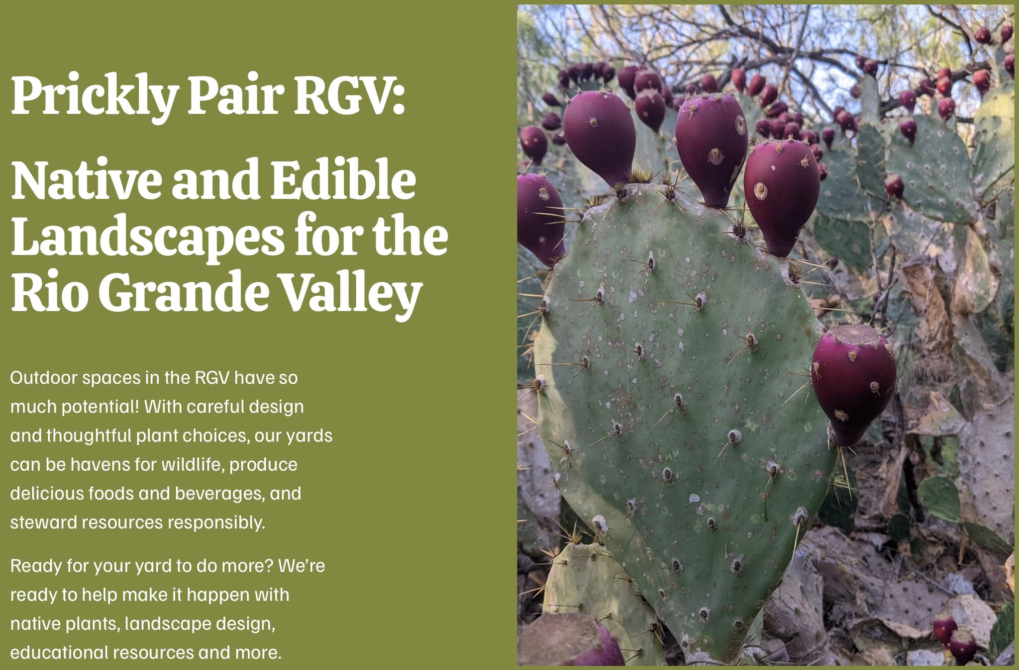 Rio Grande Valley Chapter - Native Plant Society of Texas | Facebook