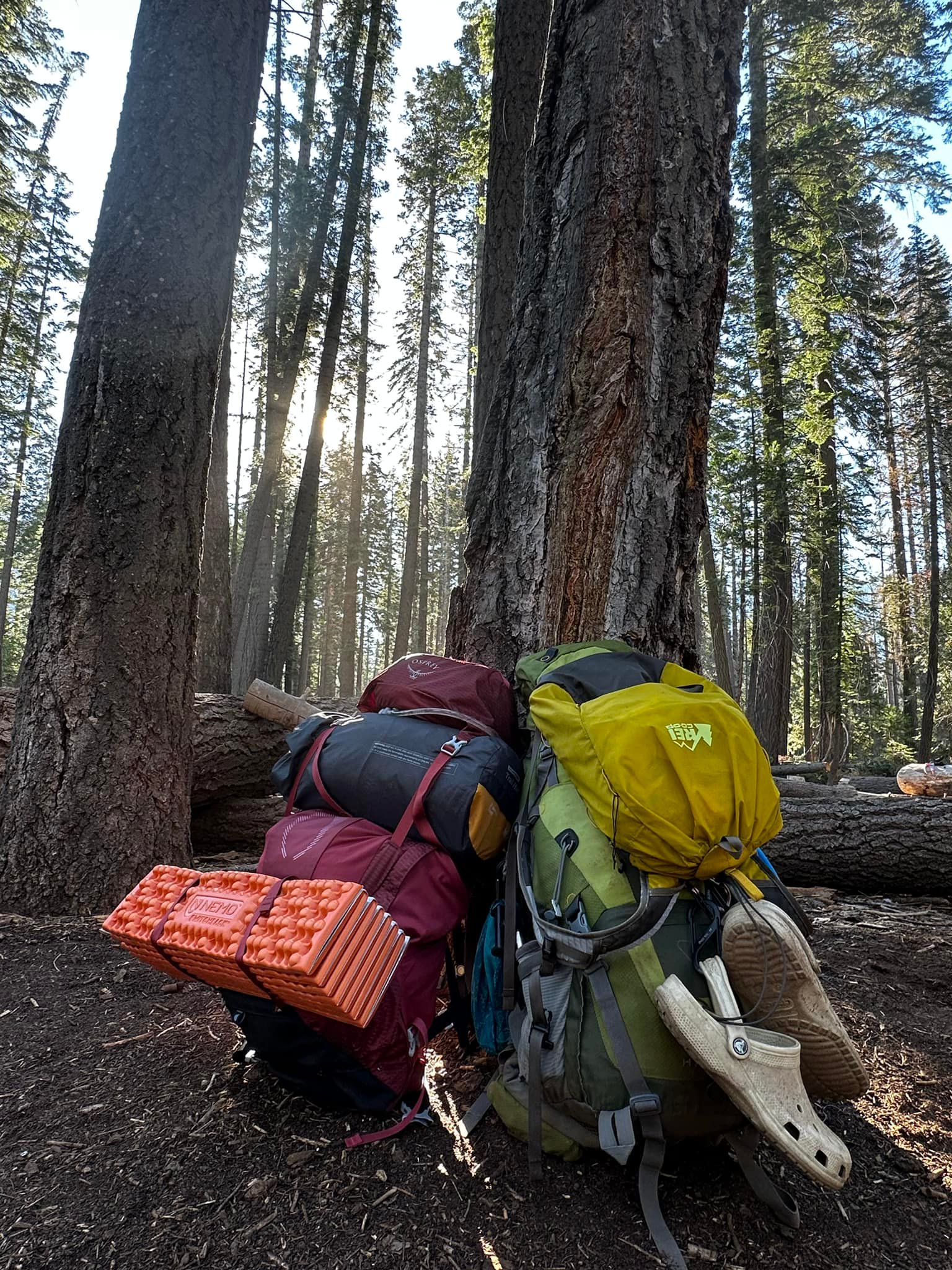 bag:jansport JanSport Big Student Backpack bulletproof backpack plate Color:Raspberry Ballistic/Persimmon 210 Cerylon Two exterior zippered stash JanSport SuperBreak One Backpack