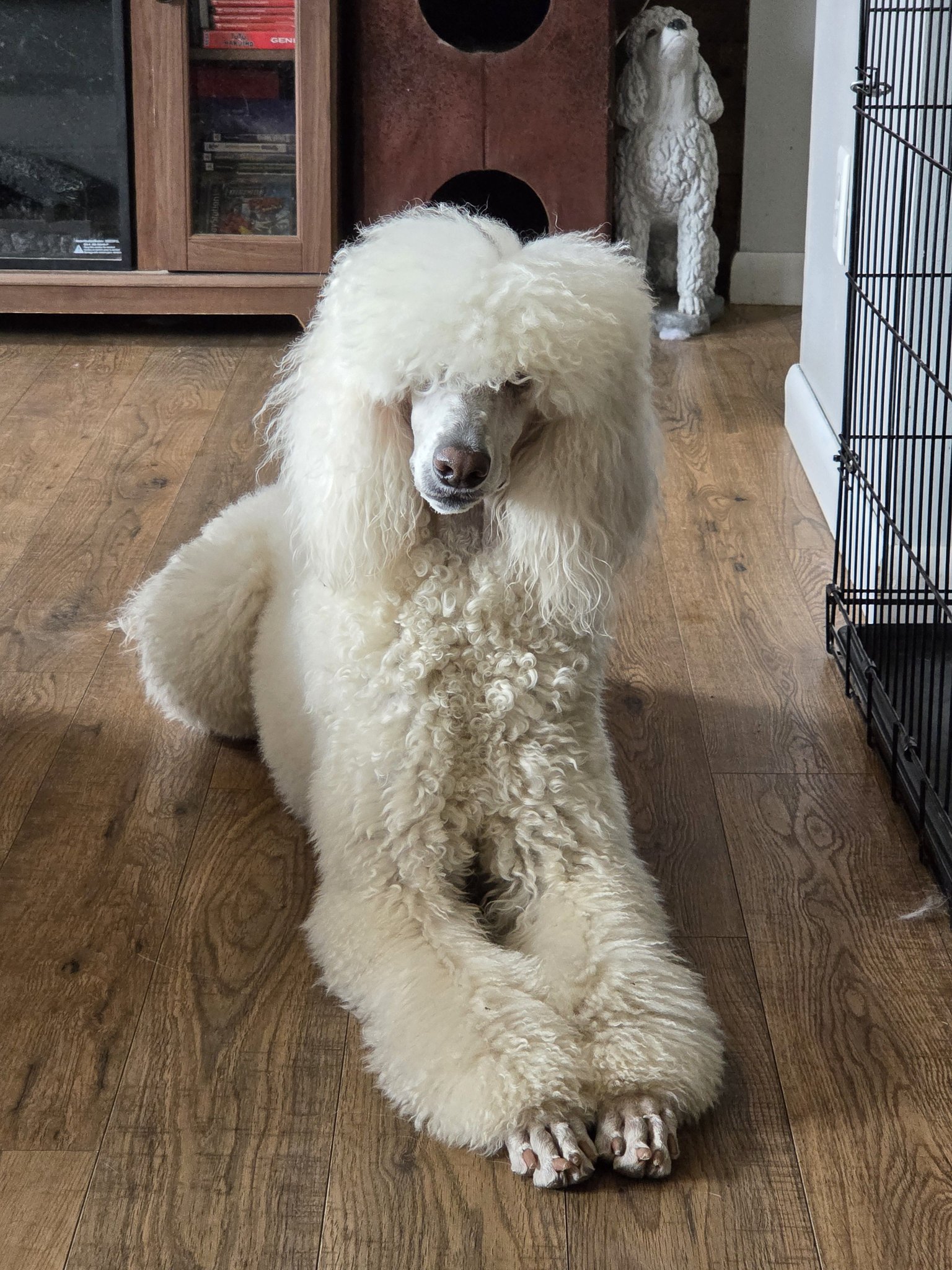Poodle Fur Long Coat